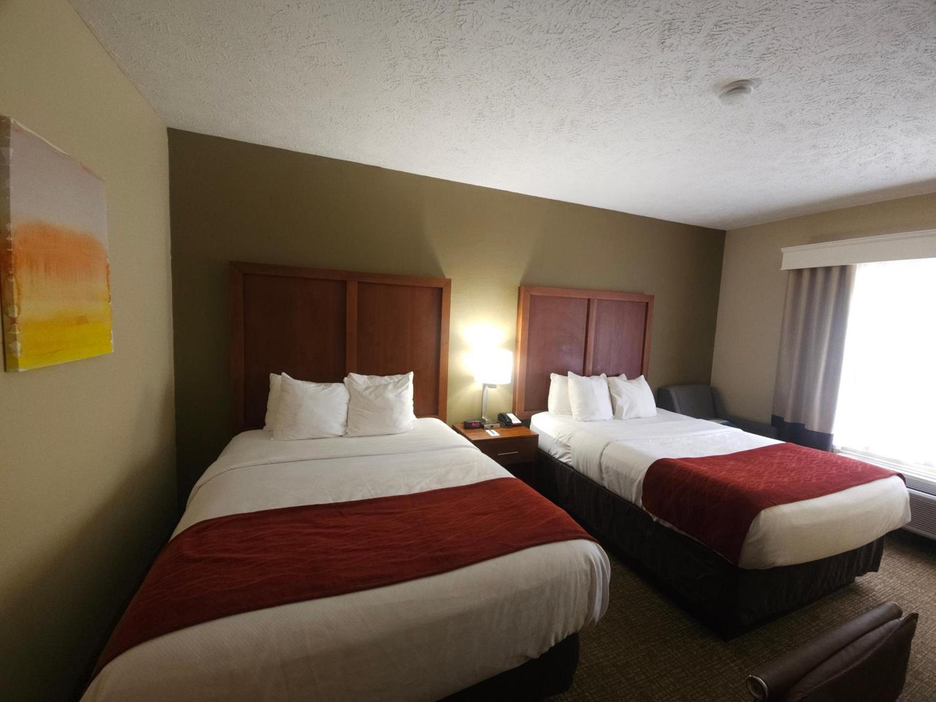 Comfort Inn Jackson I-40 photo 12