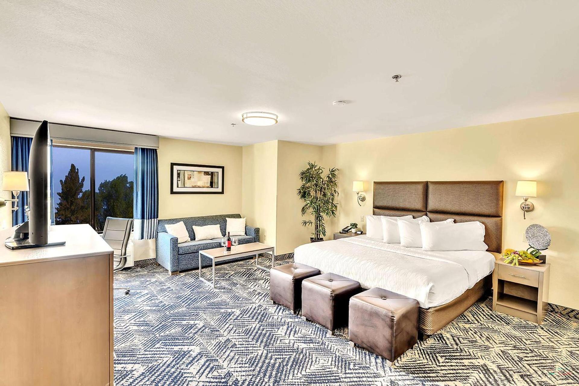 Best Western Plus Lewisville Flower Mound photo 15