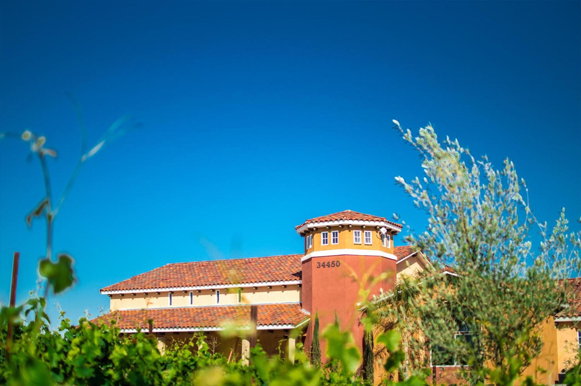 Carter Estate Winery and Resort photo 14
