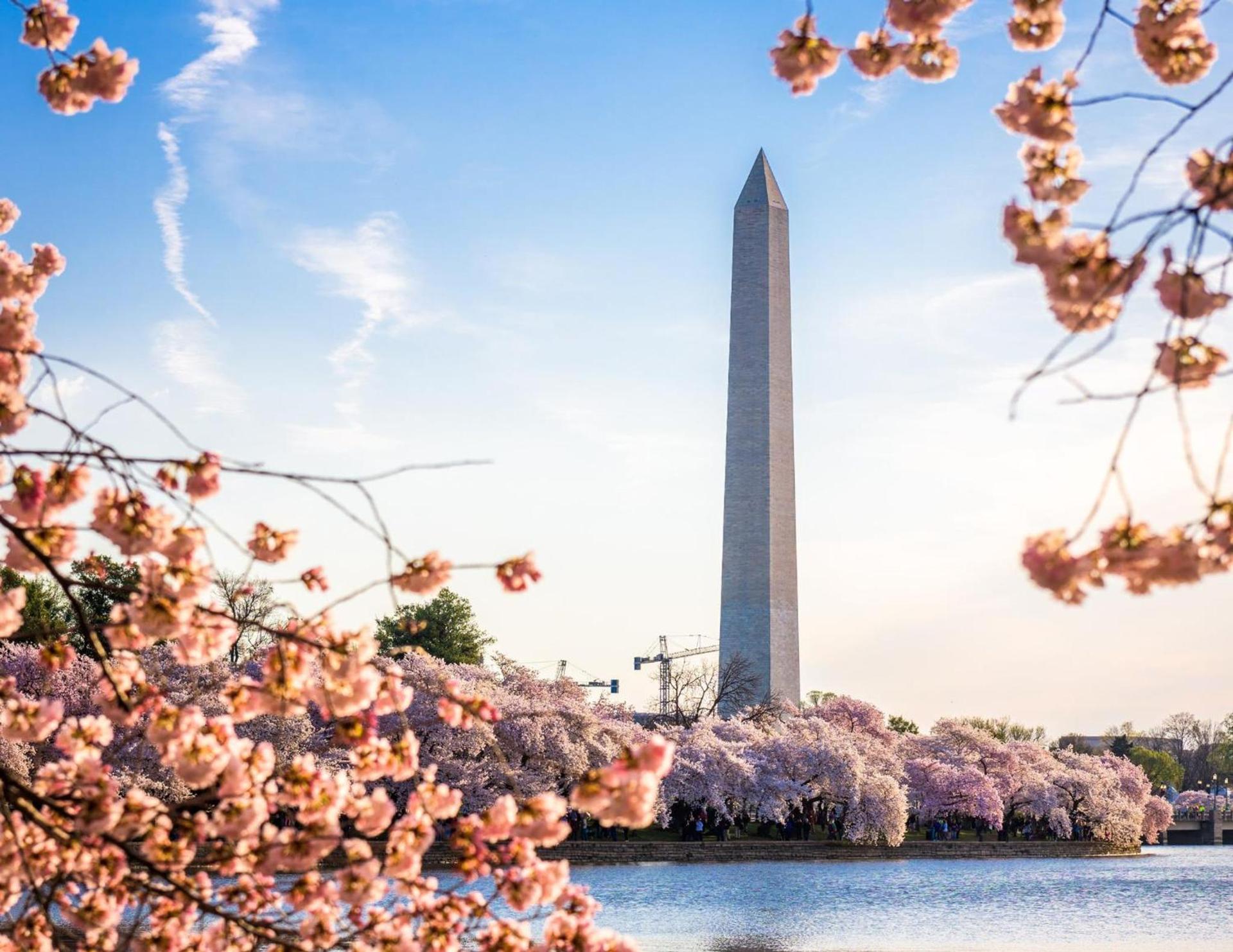 Staybridge Suites Washington D.C. - Greenbelt by IHG photo 17
