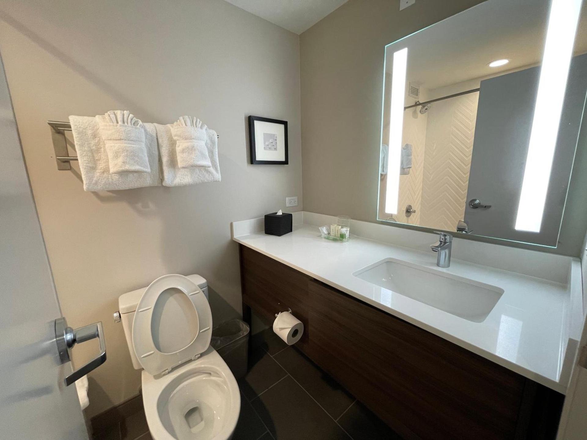 Holiday Inn & Suites Chicago-Downtown by IHG photo 38