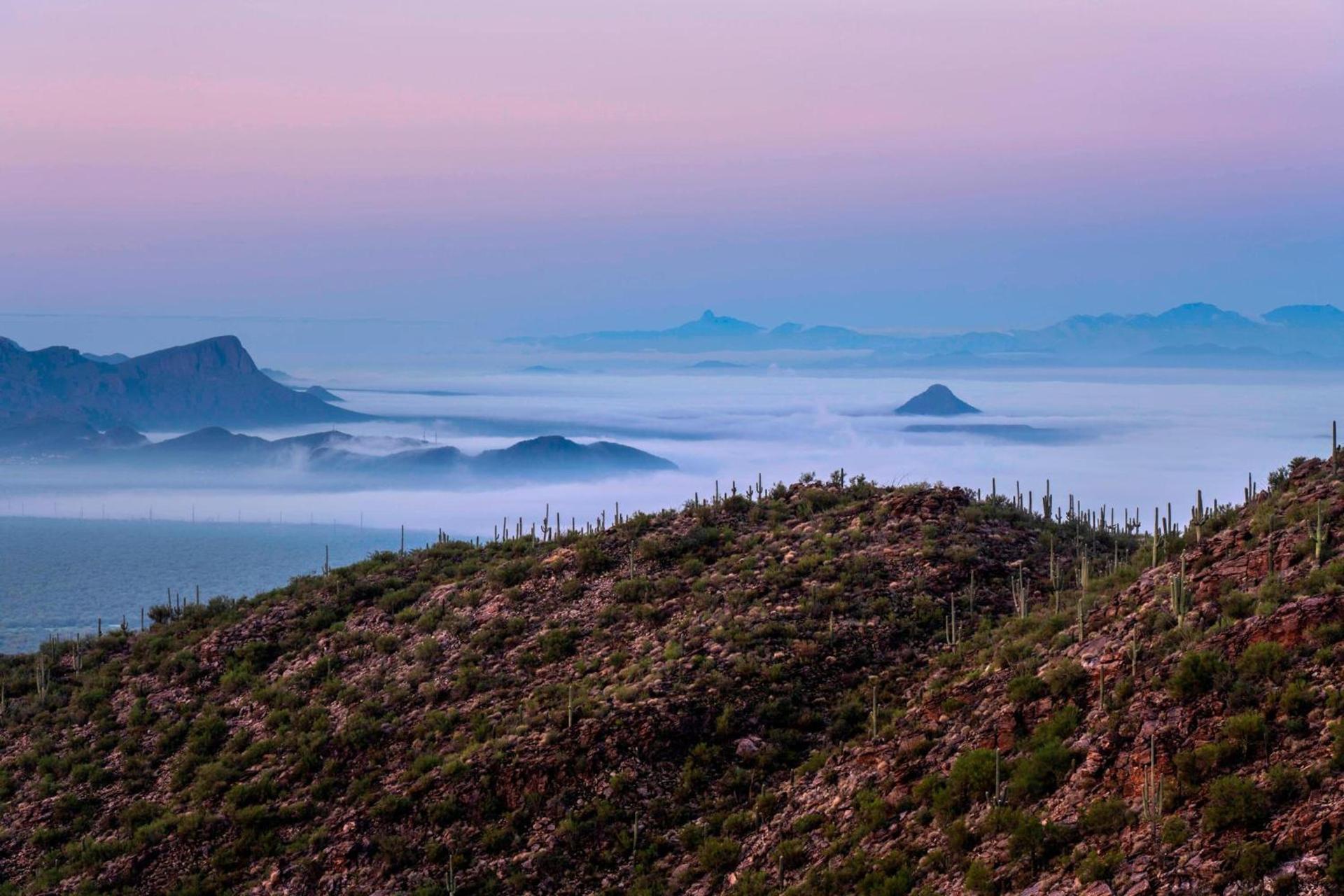 The Ritz-Carlton, Dove Mountain photo 5