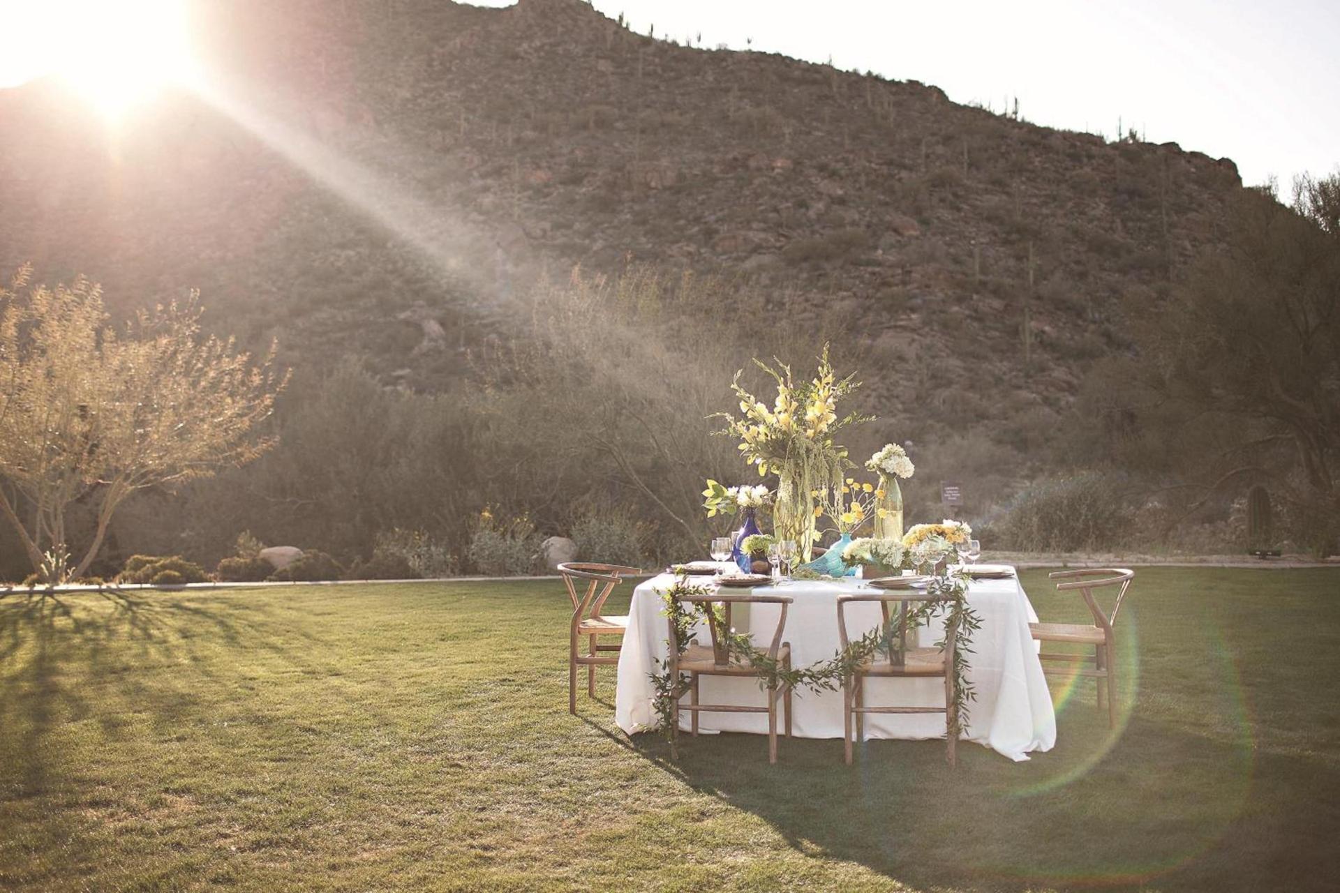 The Ritz-Carlton, Dove Mountain photo 44