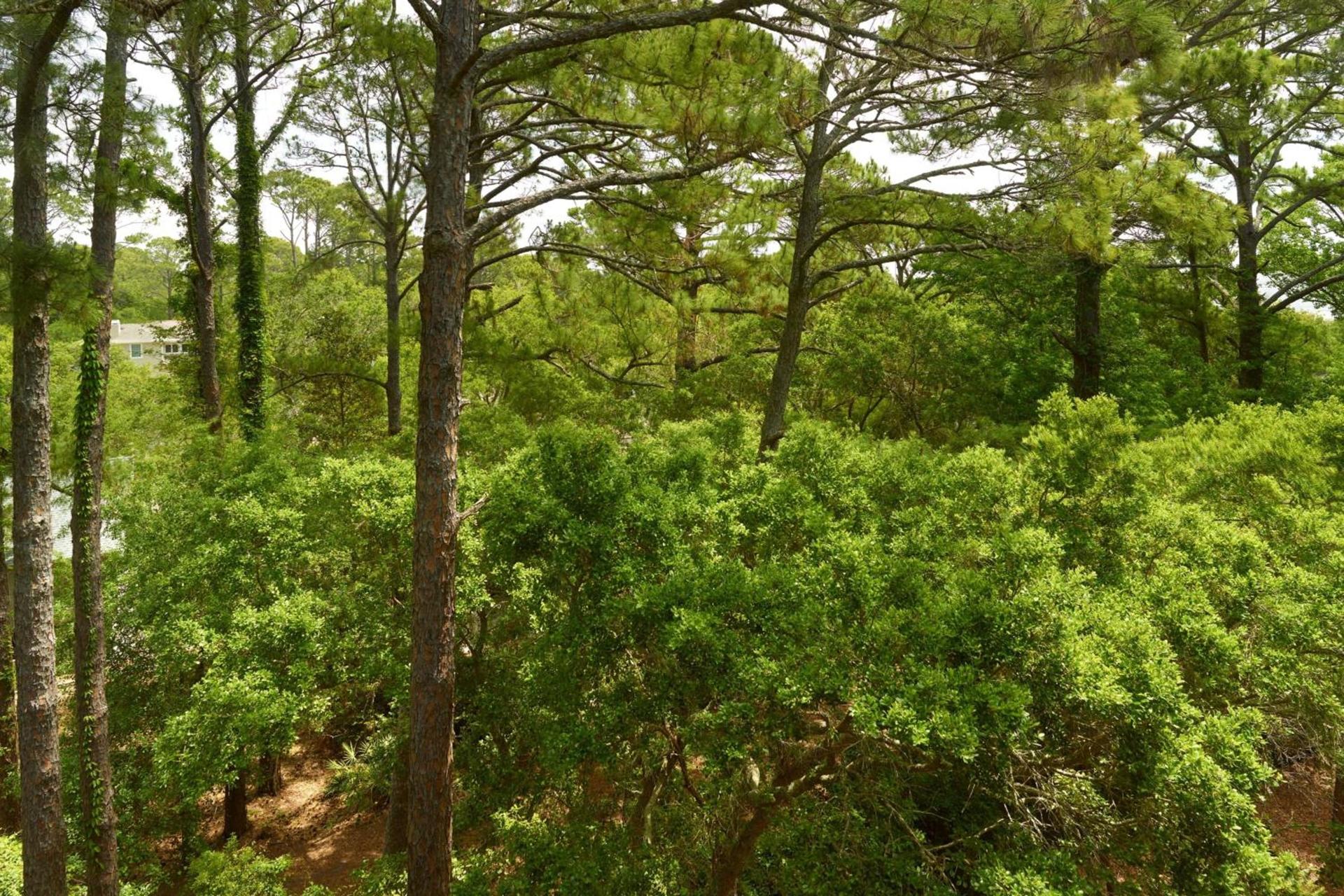 The Westin Hilton Head Island Resort & Spa photo 44