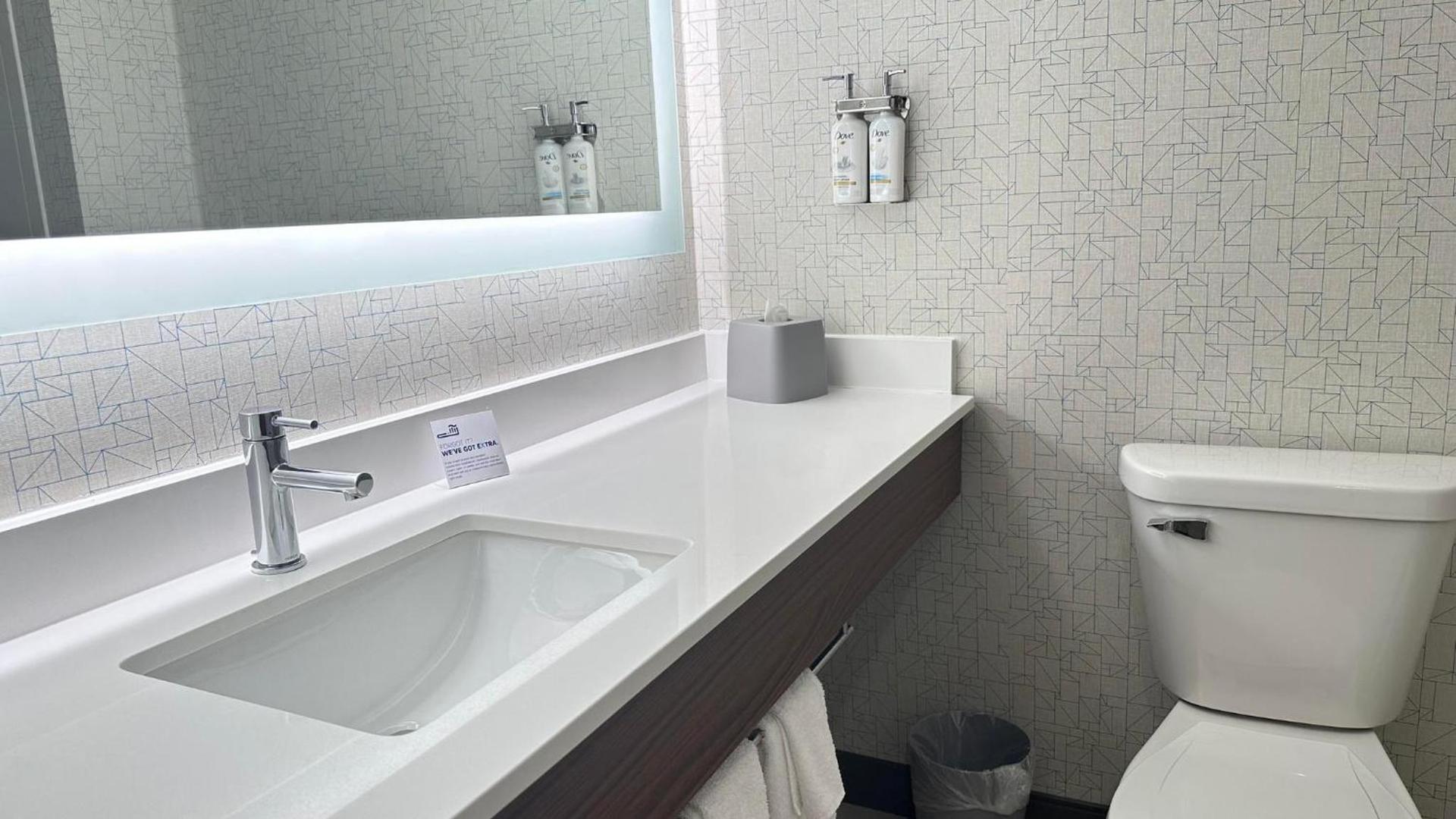 Holiday Inn Express & Suites - Prospect Heights by IHG photo 41