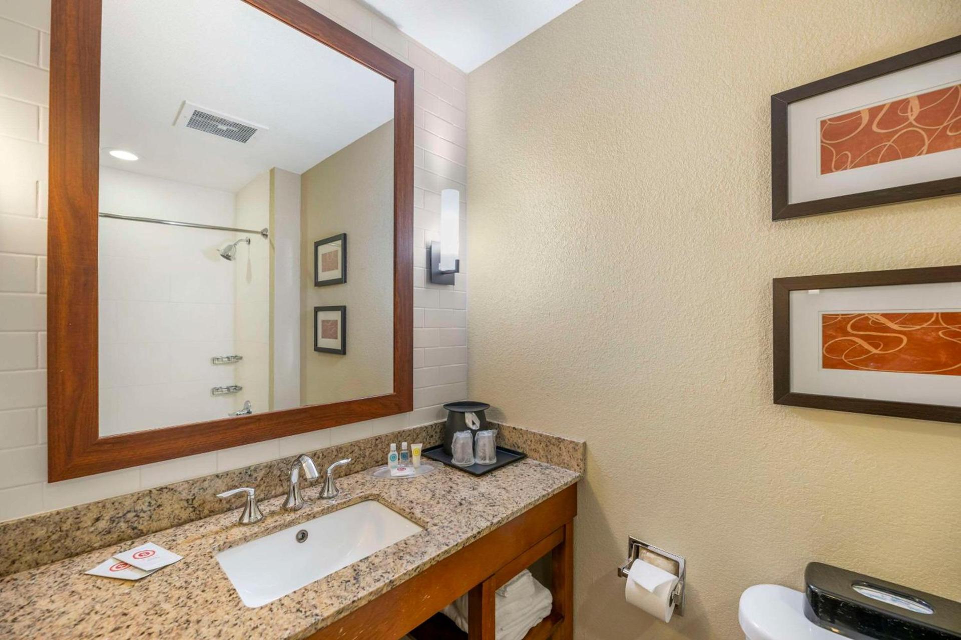 Comfort Suites Carlsbad photo 15