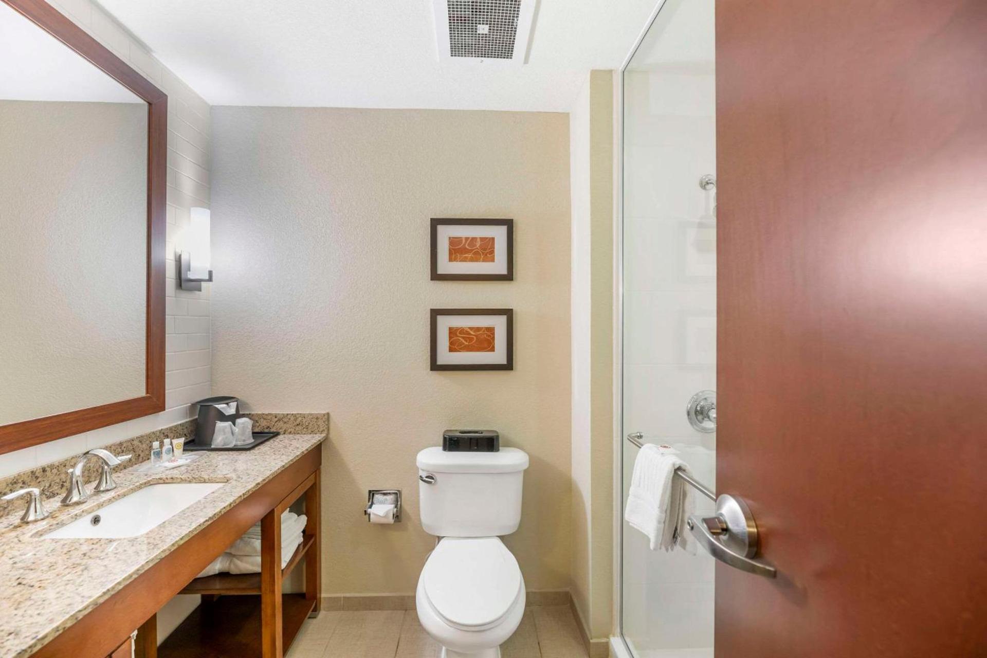Comfort Suites Carlsbad photo 19