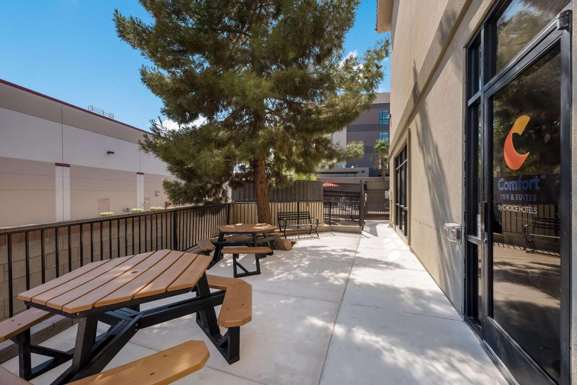 Comfort Inn & Suites Las Vegas - Nellis photo 3