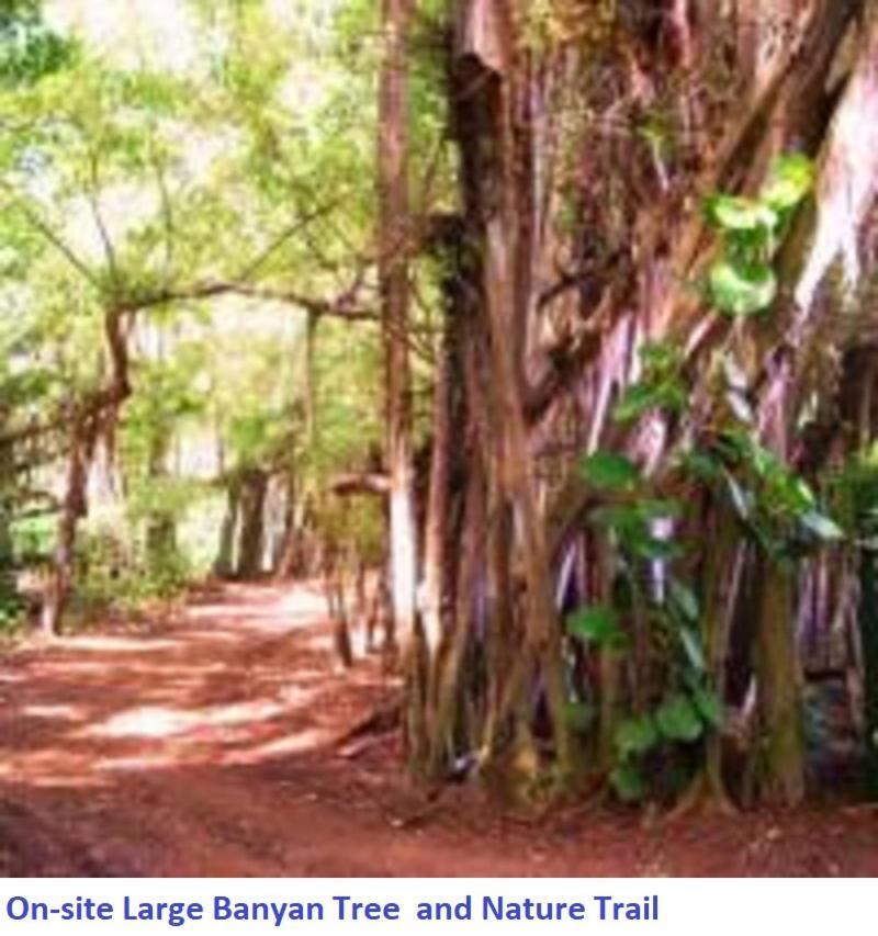 Banyan Harbor photo 6
