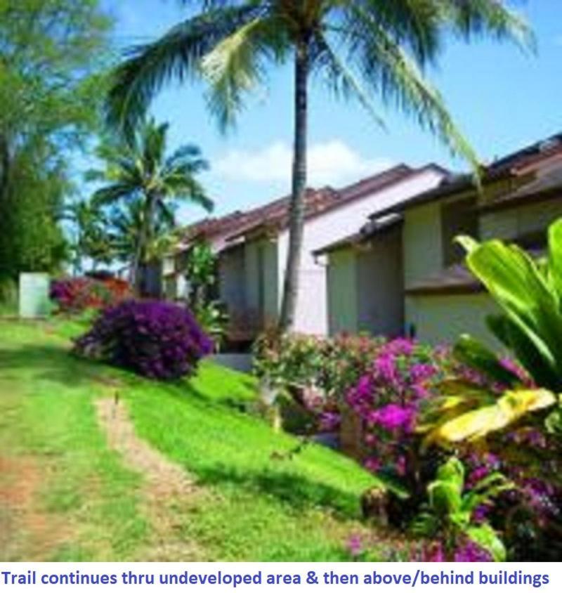 Banyan Harbor photo 7