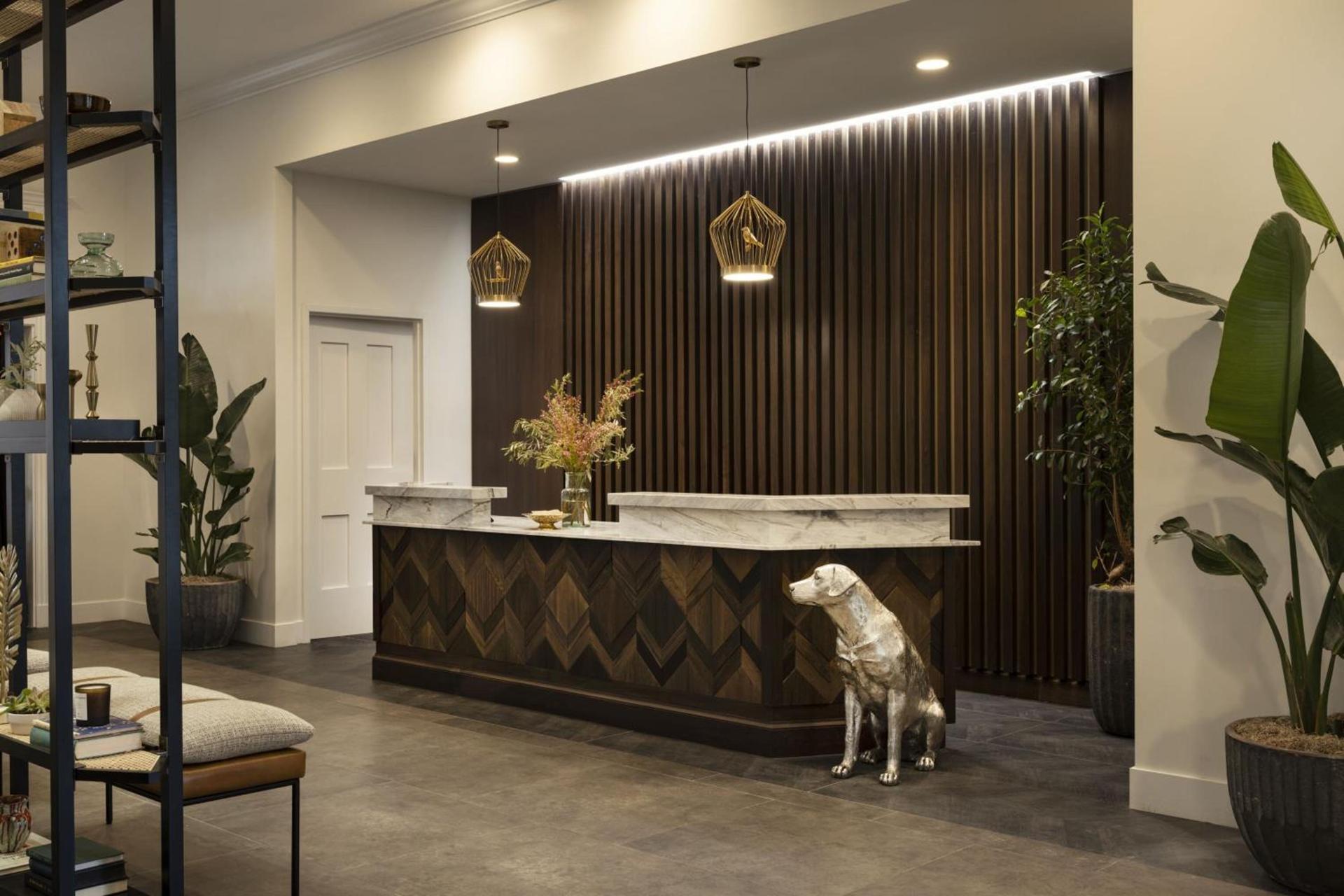The Steward, Santa Barbara, a Tribute Portfolio Hotel photo 5
