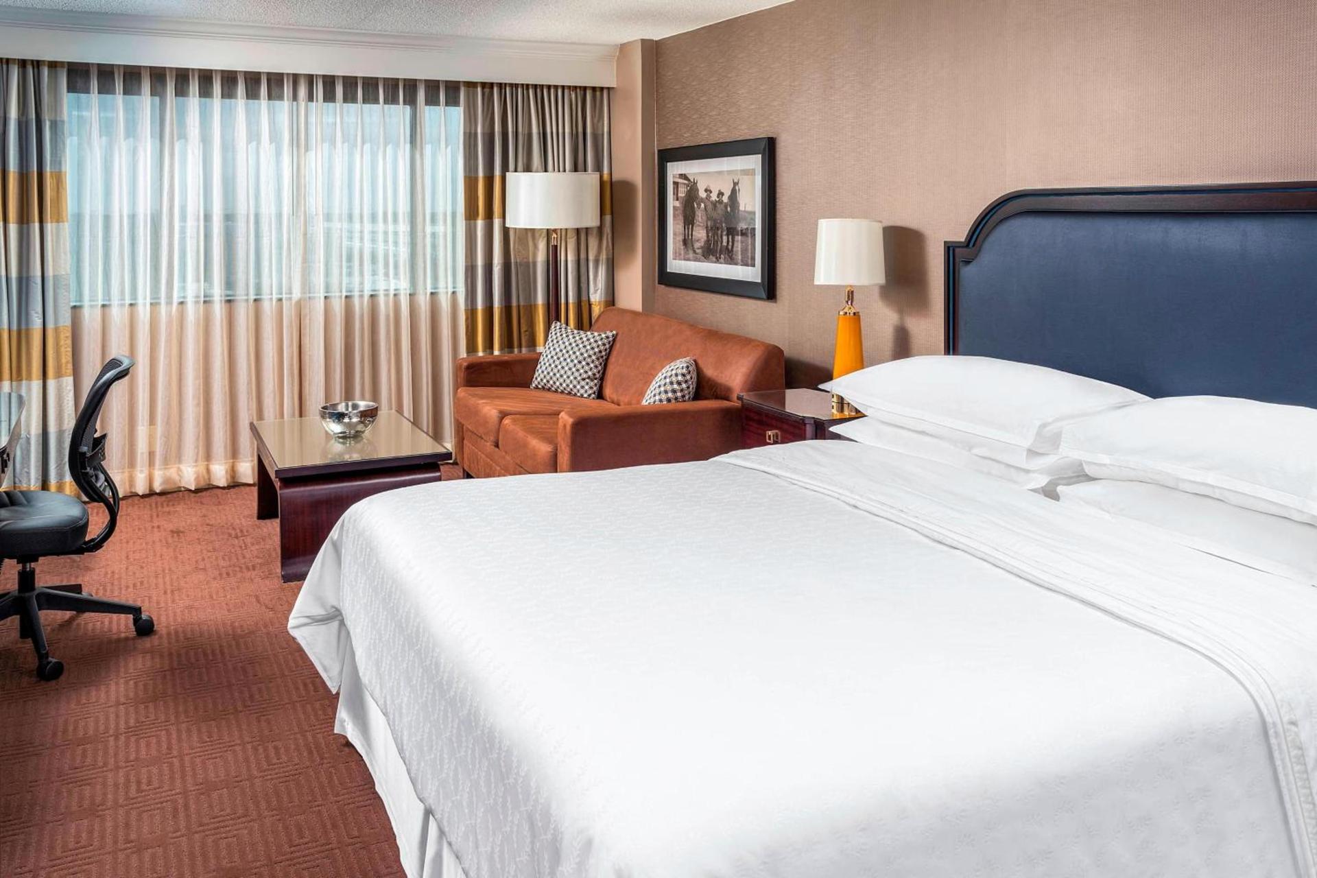 Sheraton North Houston at George Bush Intercontinental photo 5