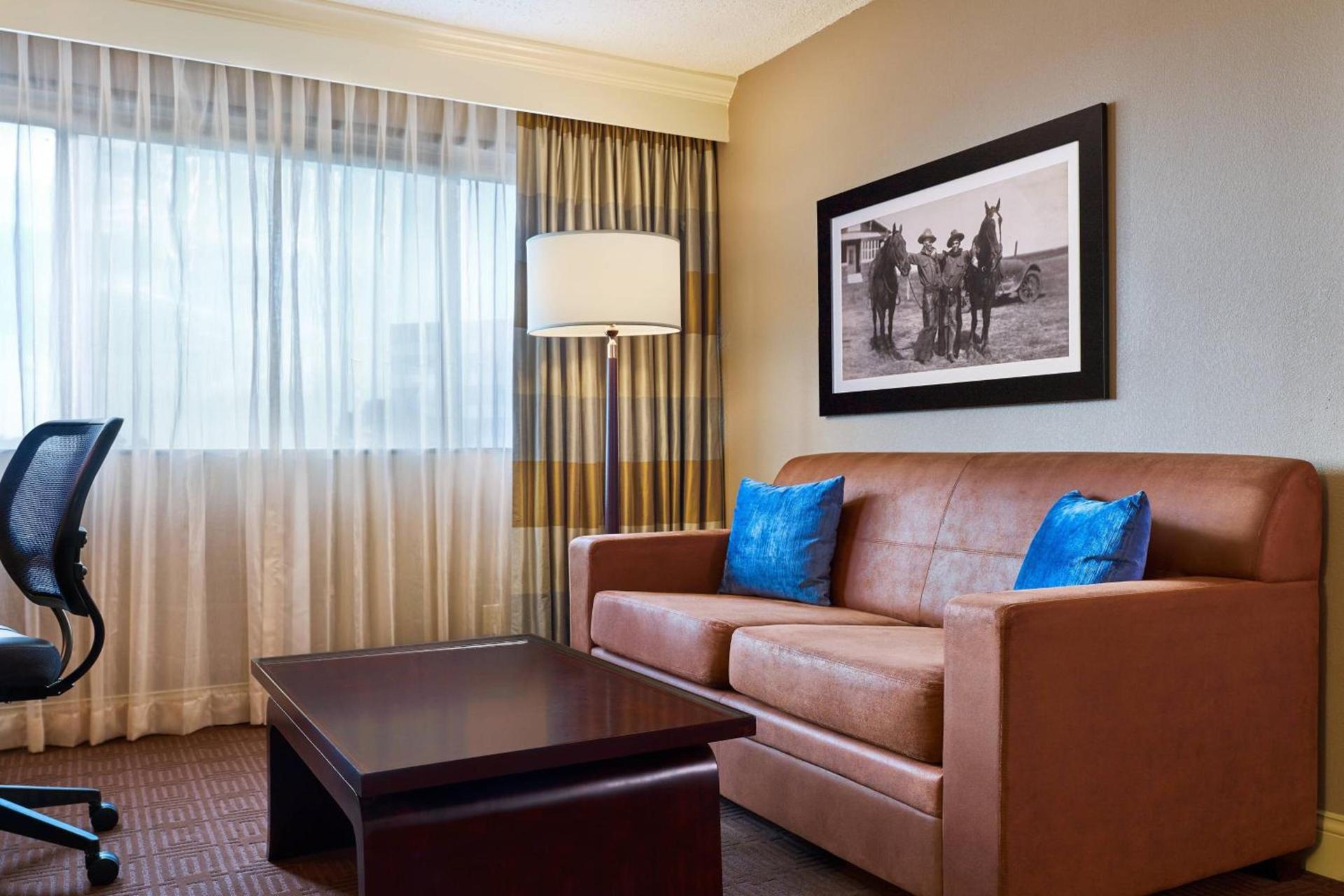 Sheraton North Houston at George Bush Intercontinental photo 6