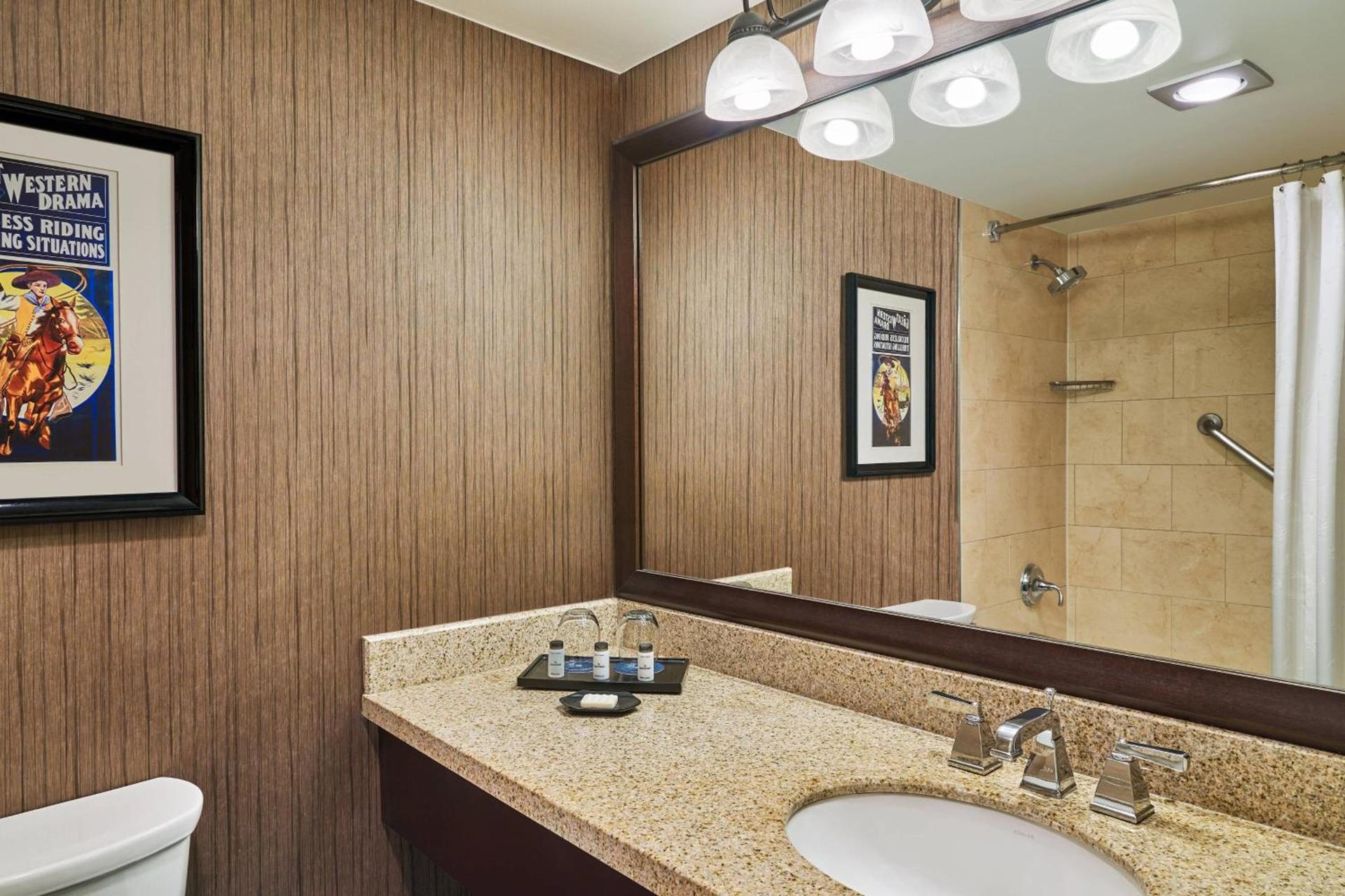 Sheraton North Houston at George Bush Intercontinental photo 7