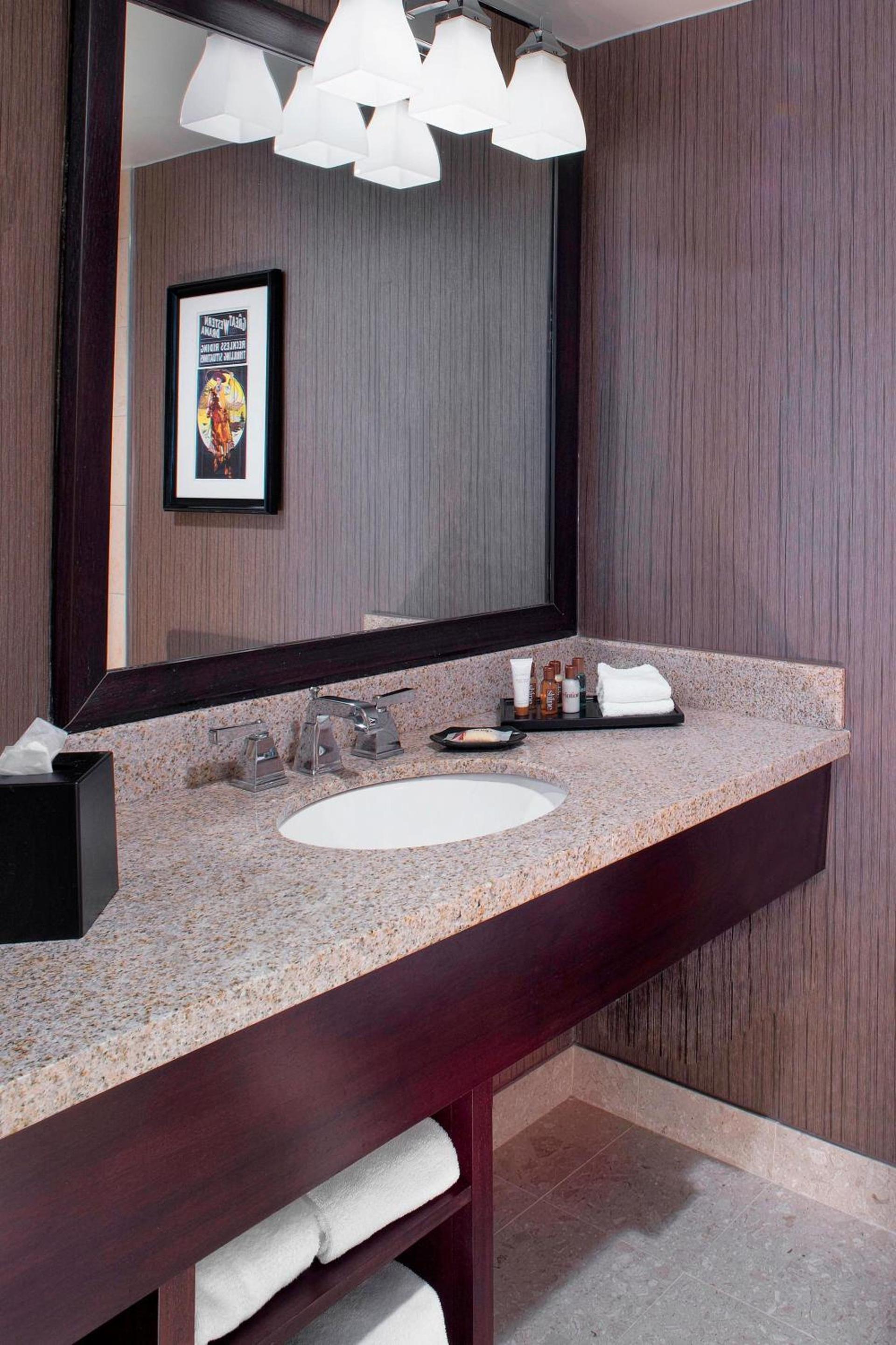 Sheraton North Houston at George Bush Intercontinental photo 8