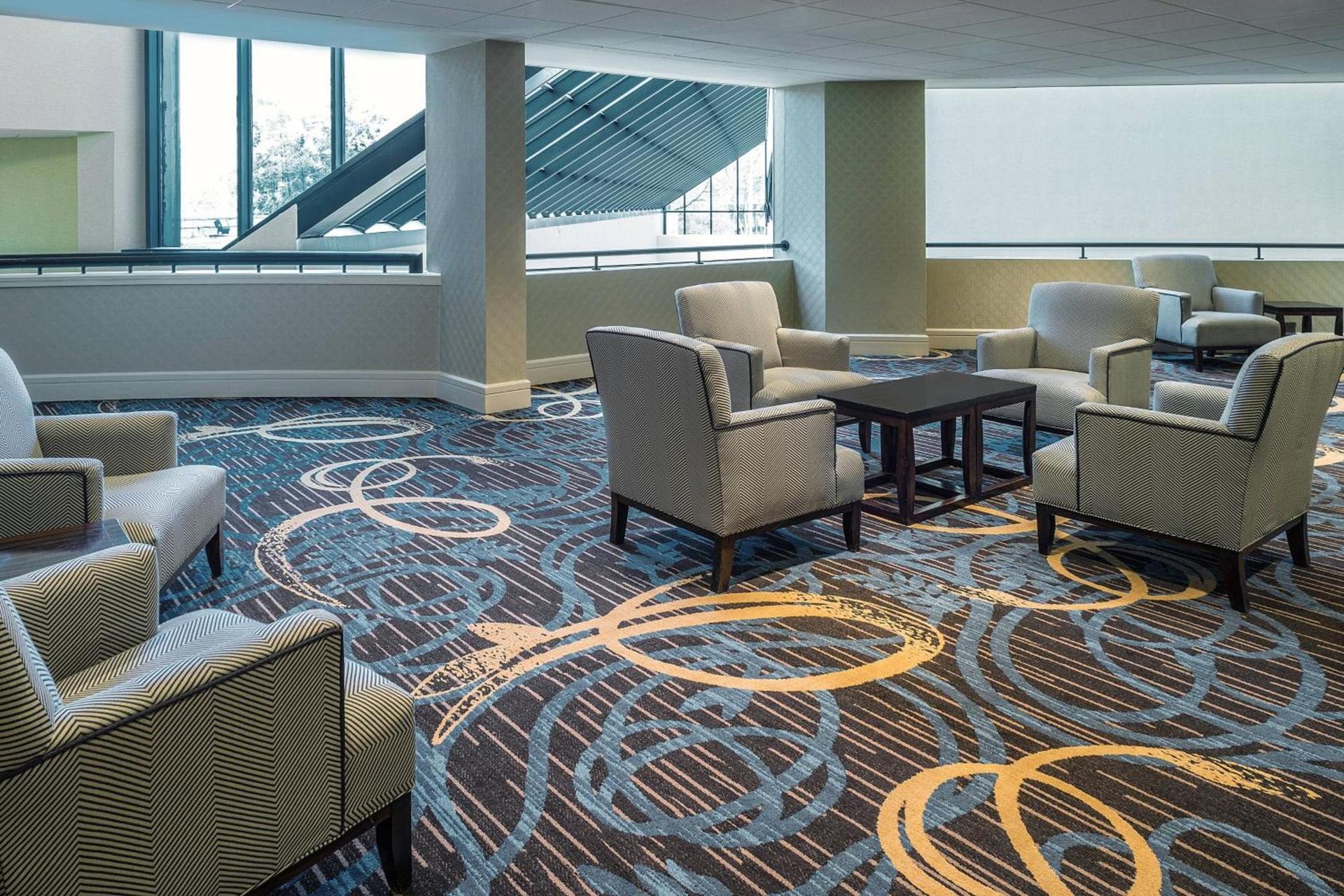 Sheraton North Houston at George Bush Intercontinental photo 42