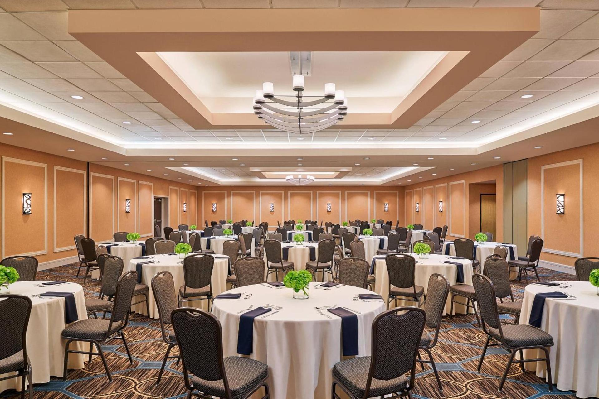 Sheraton North Houston at George Bush Intercontinental photo 45
