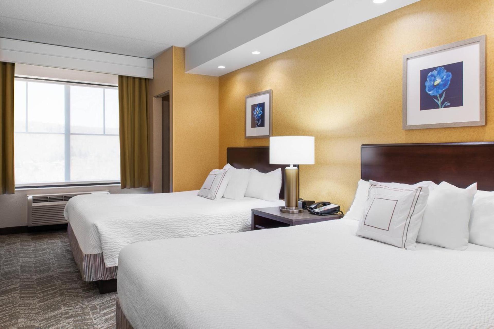 SpringHill Suites by Marriott Wheeling Triadelphia Area photo 5