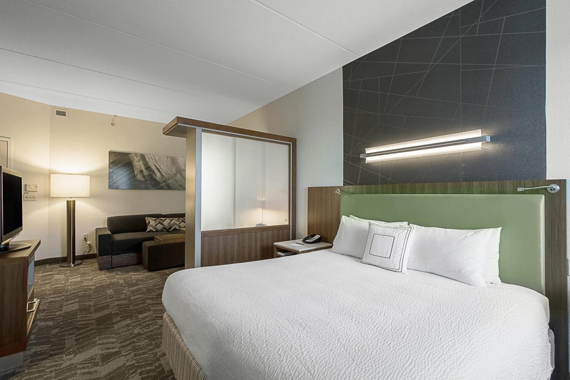 SpringHill Suites Tampa North/Tampa Palms photo 11