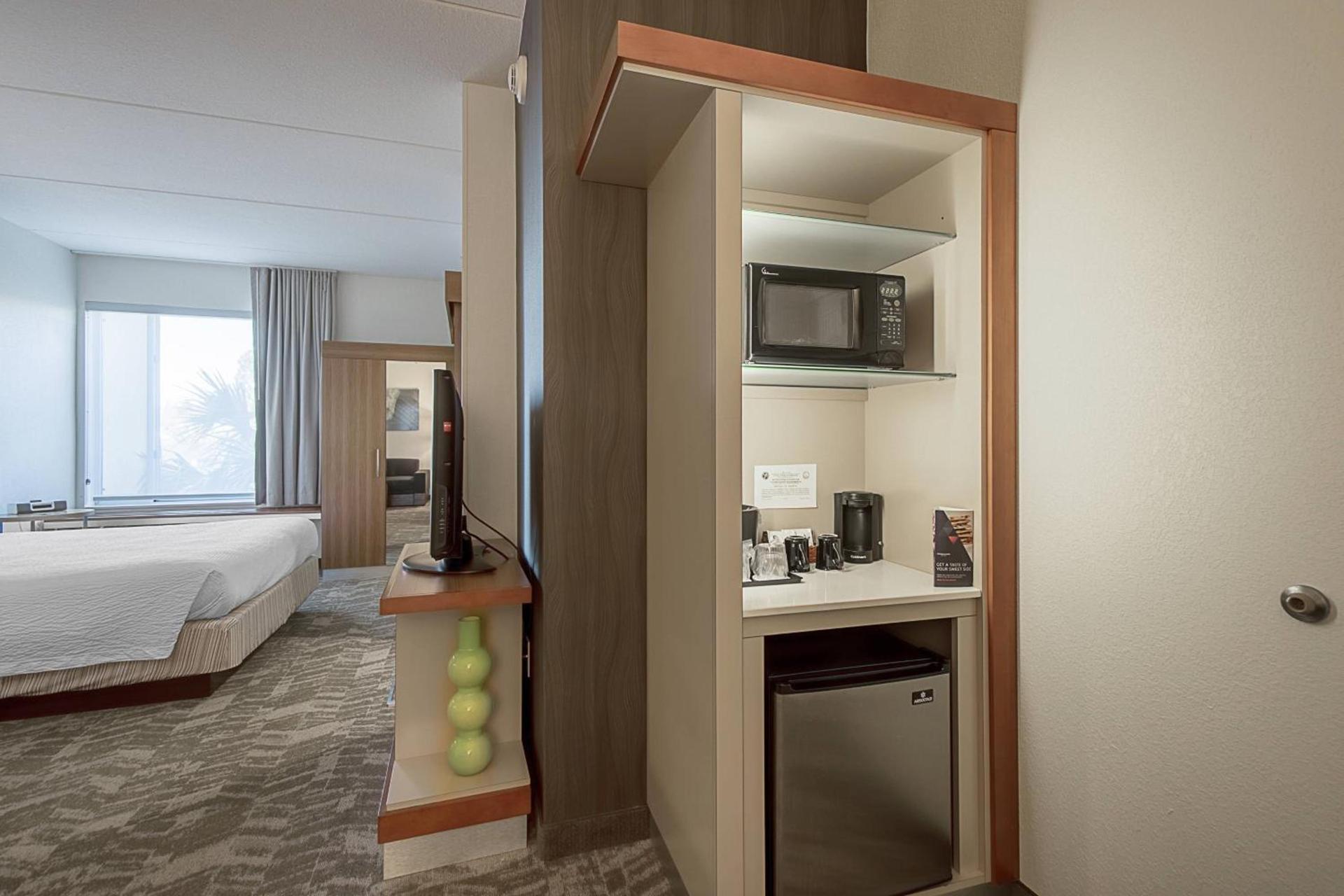 SpringHill Suites Tampa North/Tampa Palms photo 13