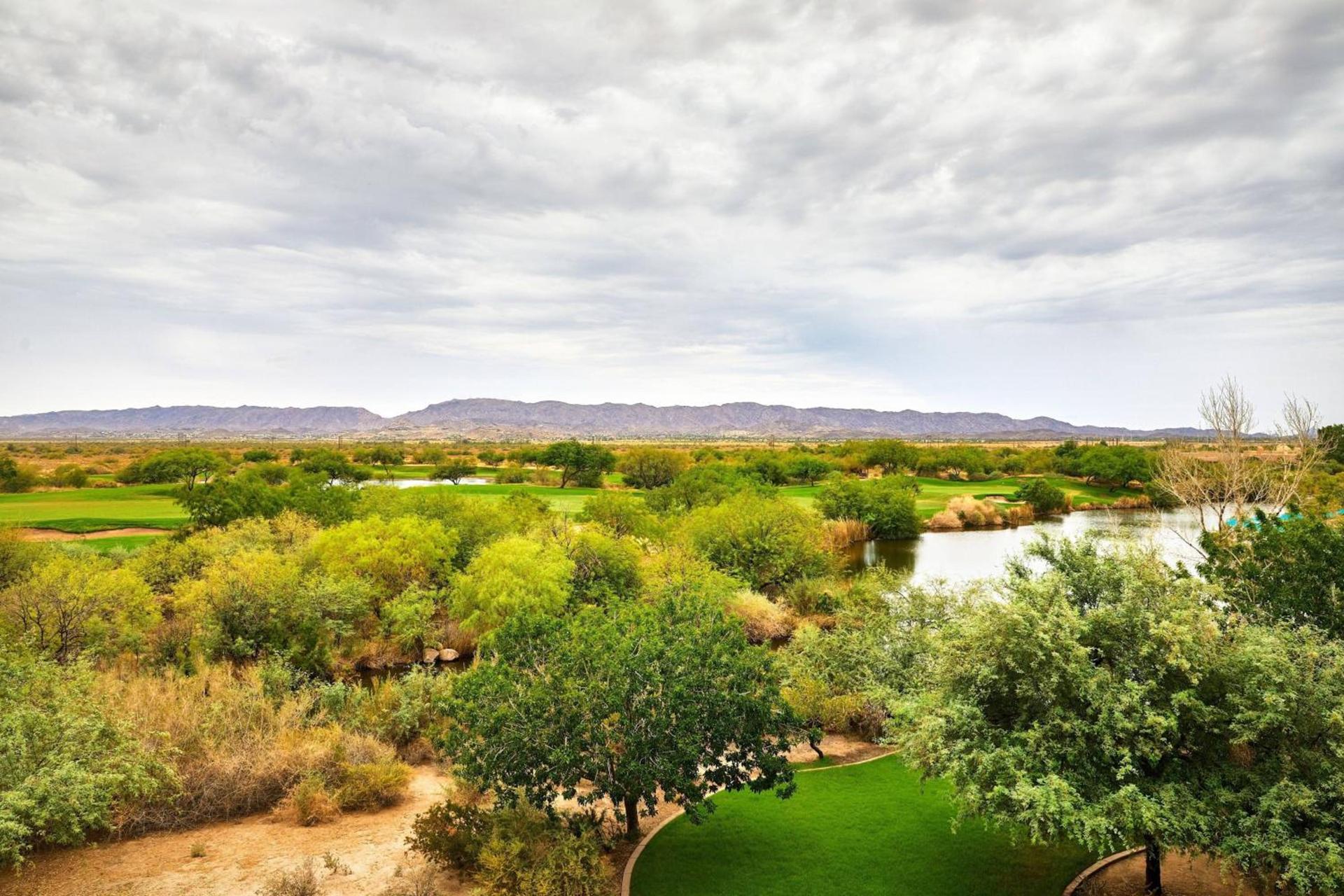 Sheraton Grand at Wild Horse Pass photo 28
