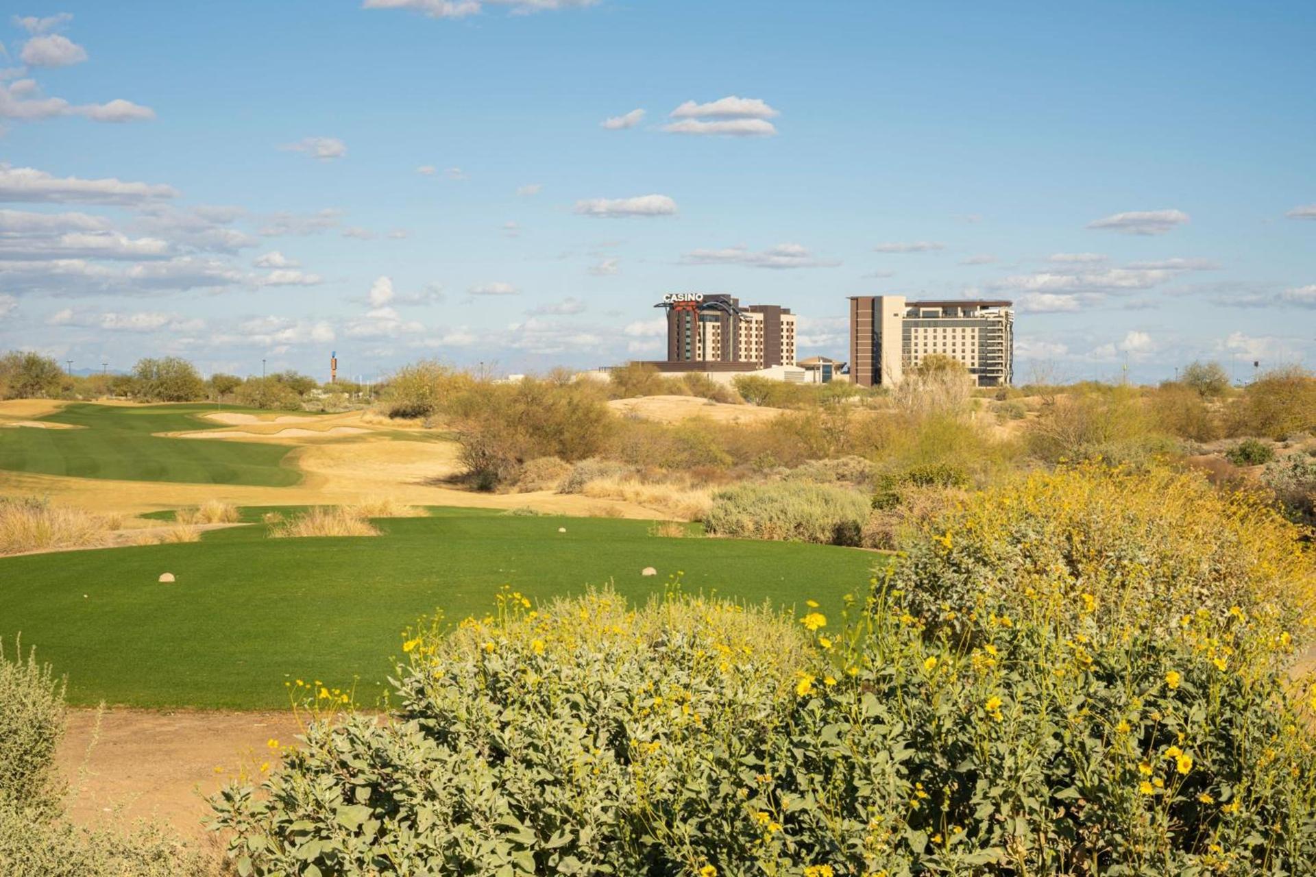 Sheraton Grand at Wild Horse Pass photo 83