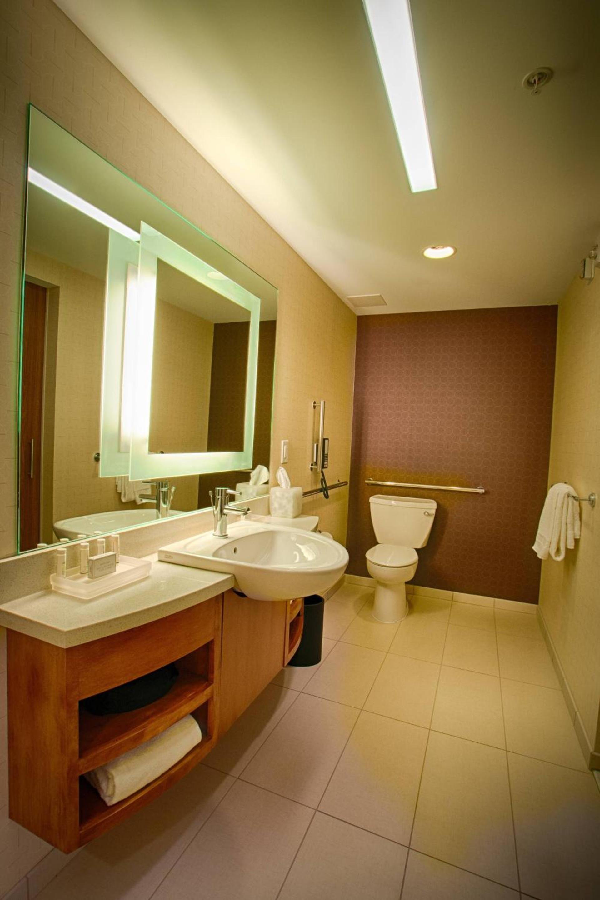 SpringHill Suites by Marriott Canton photo 9