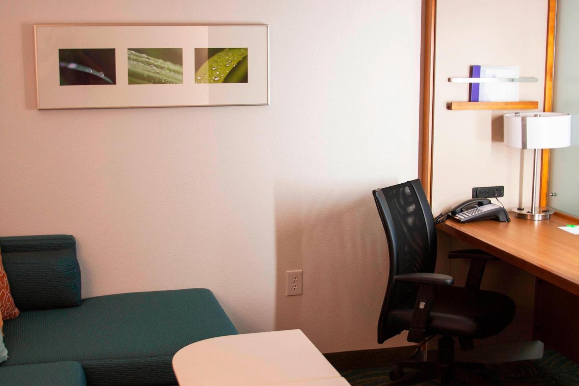 SpringHill Suites by Marriott Corpus Christi photo 13