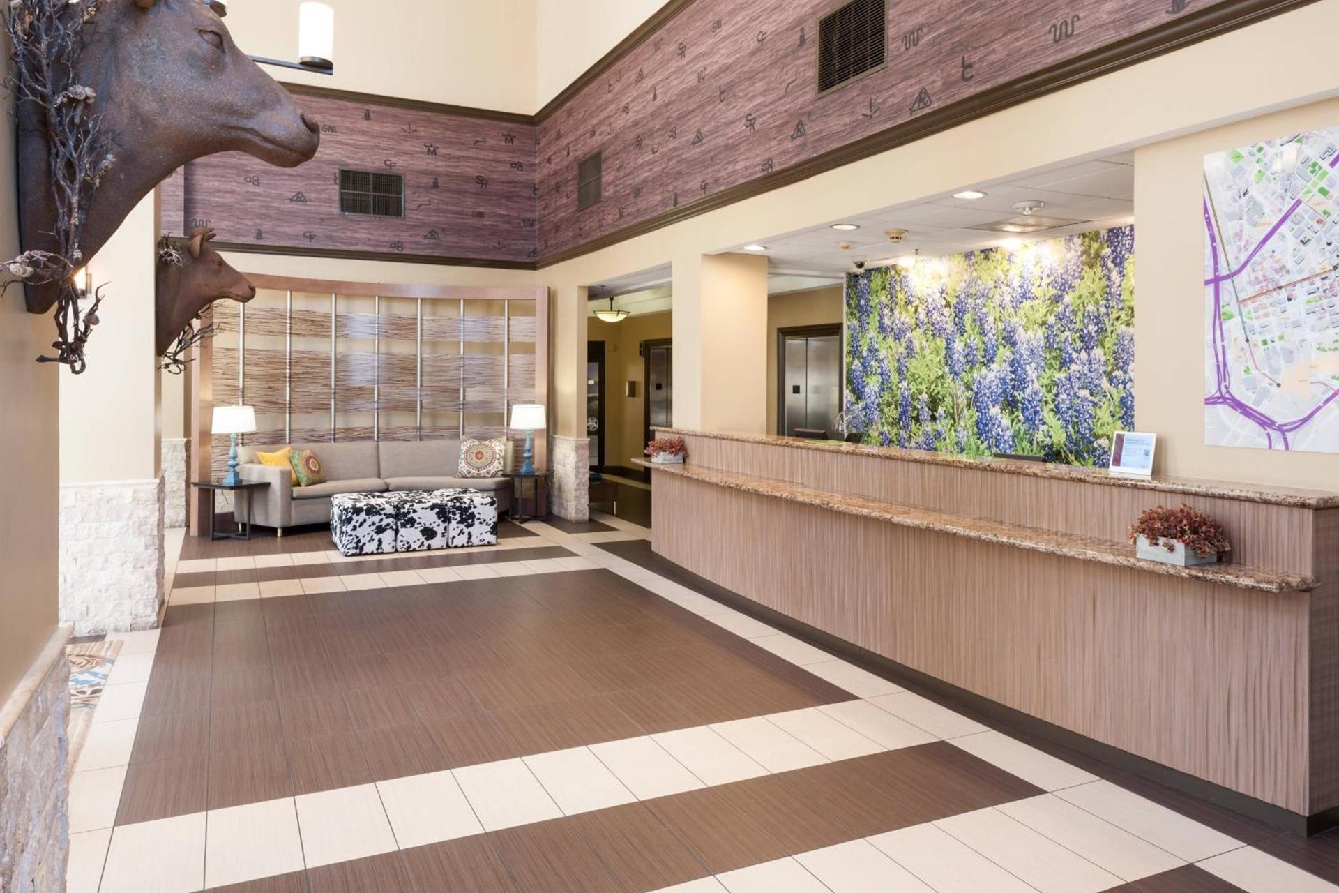 SpringHill Suites by Marriott Dallas Downtown / West End photo 5