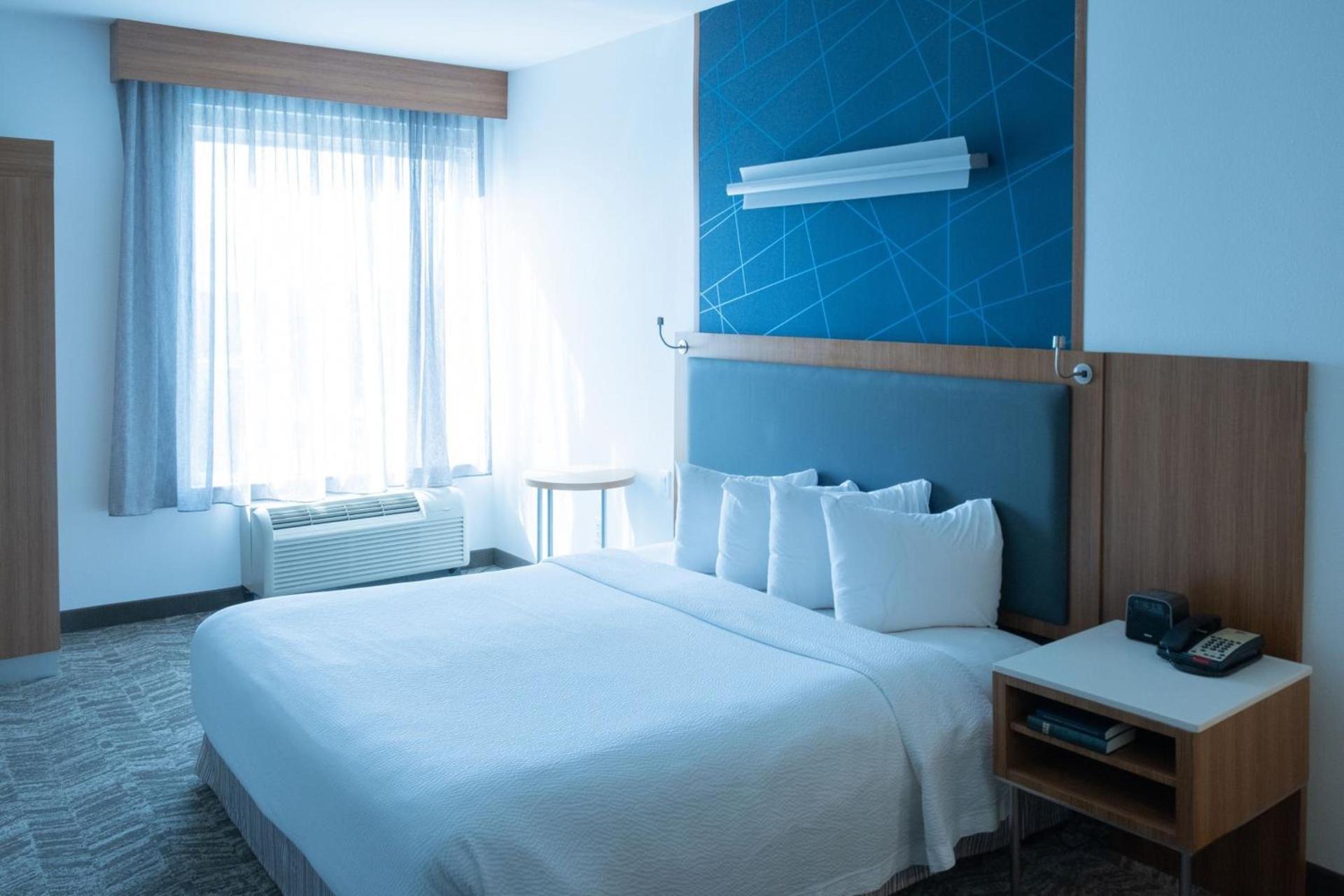 SpringHill Suites by Marriott Dallas Lewisville photo 8