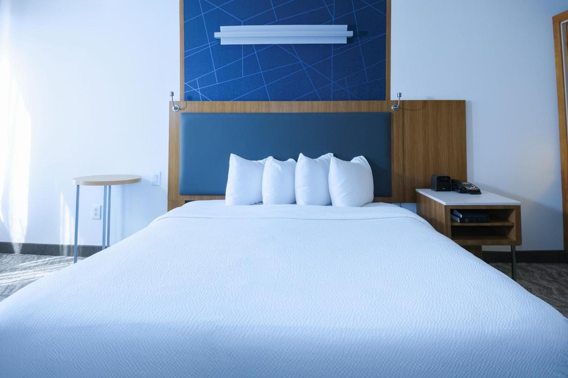 SpringHill Suites by Marriott Dallas Lewisville photo 19