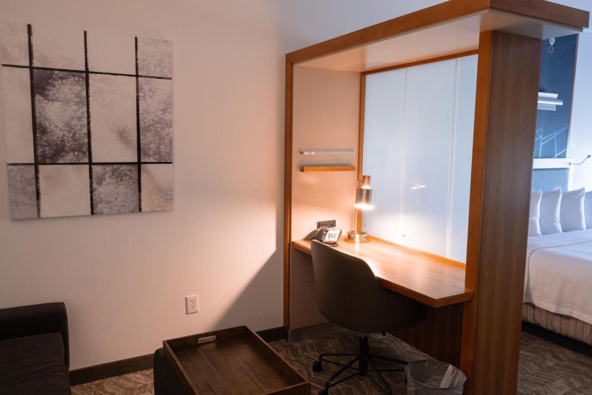 SpringHill Suites by Marriott Dallas Lewisville photo 20