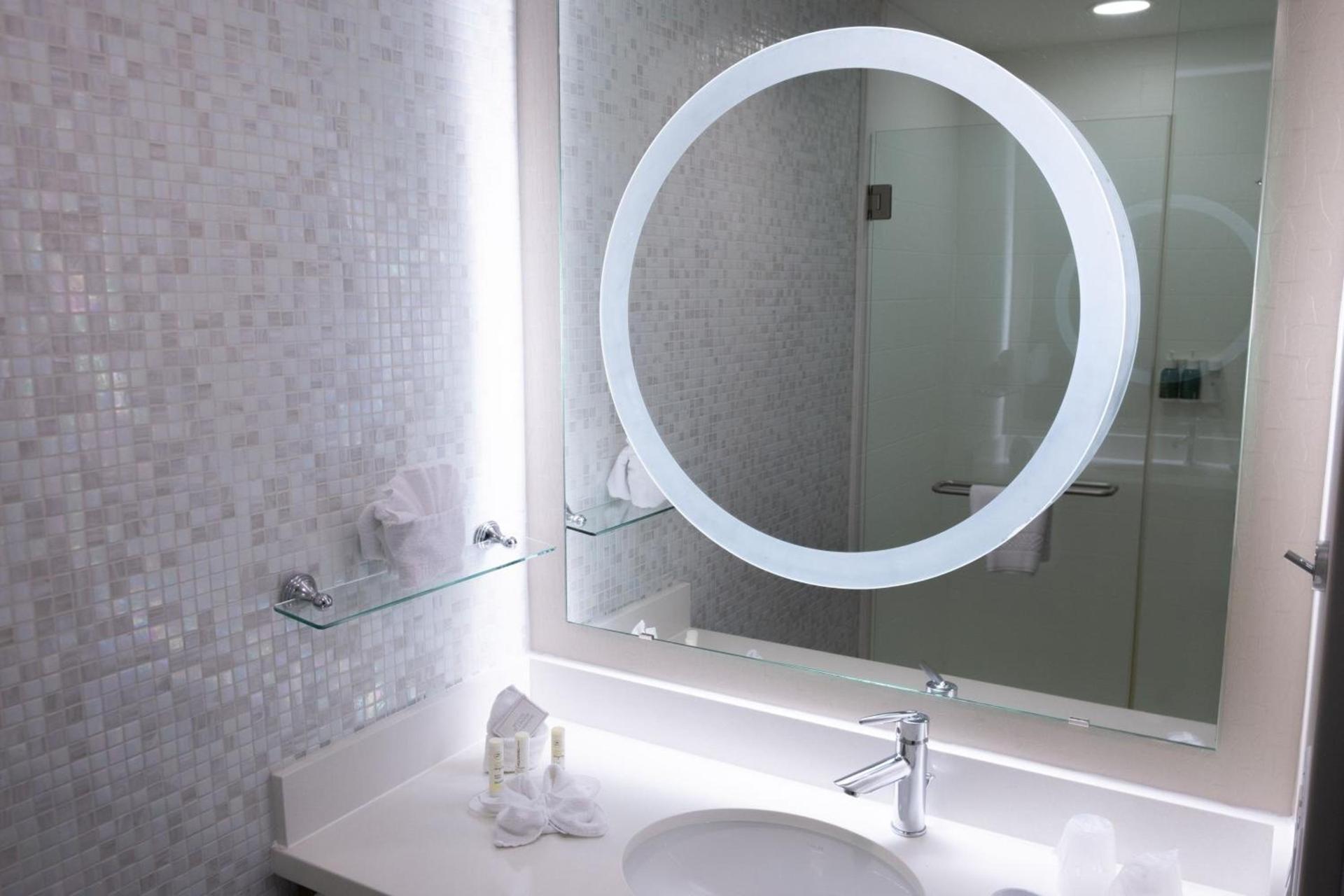 SpringHill Suites by Marriott Dallas Lewisville photo 21