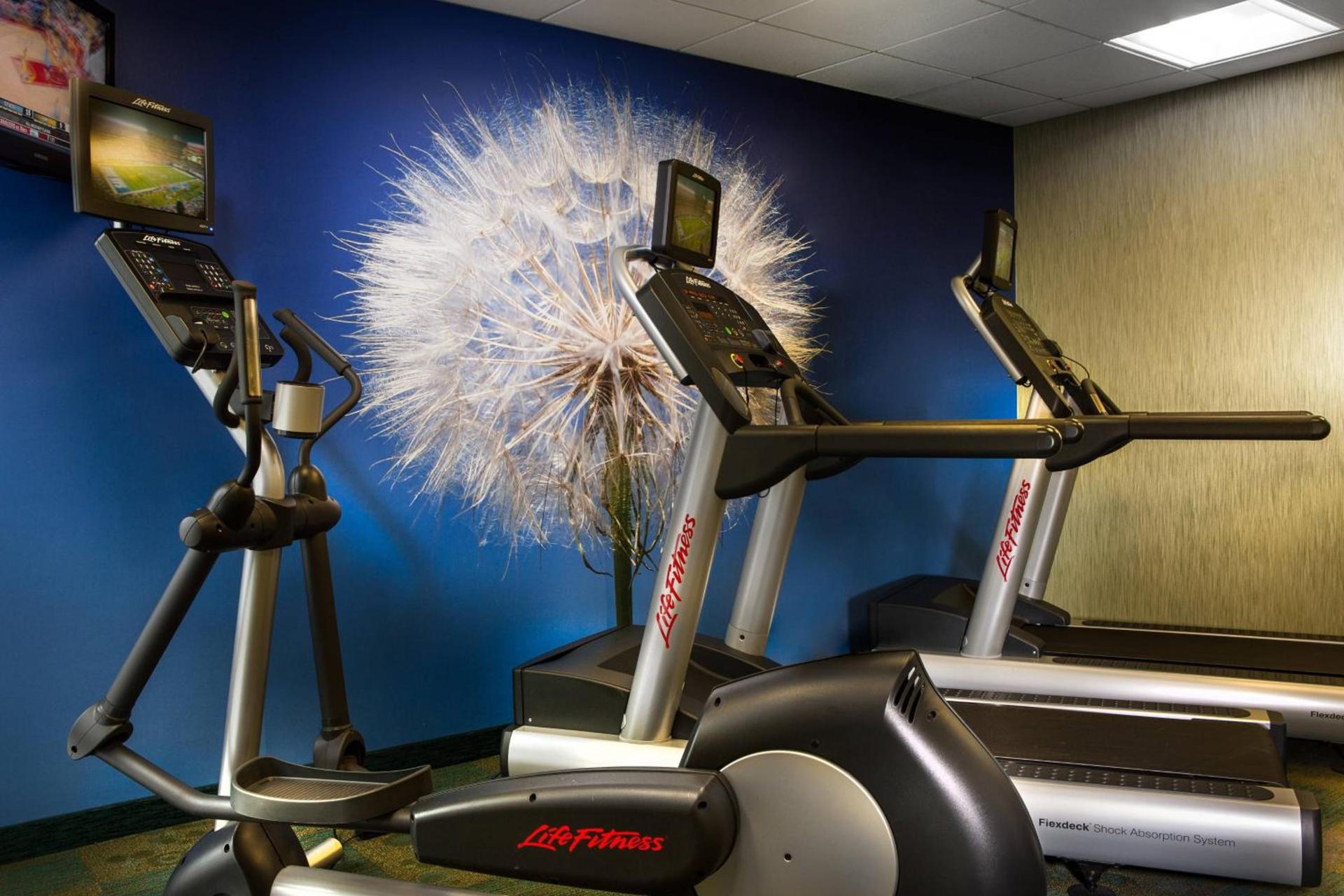 SpringHill Suites Dallas DFW Airport North/Grapevine photo 12