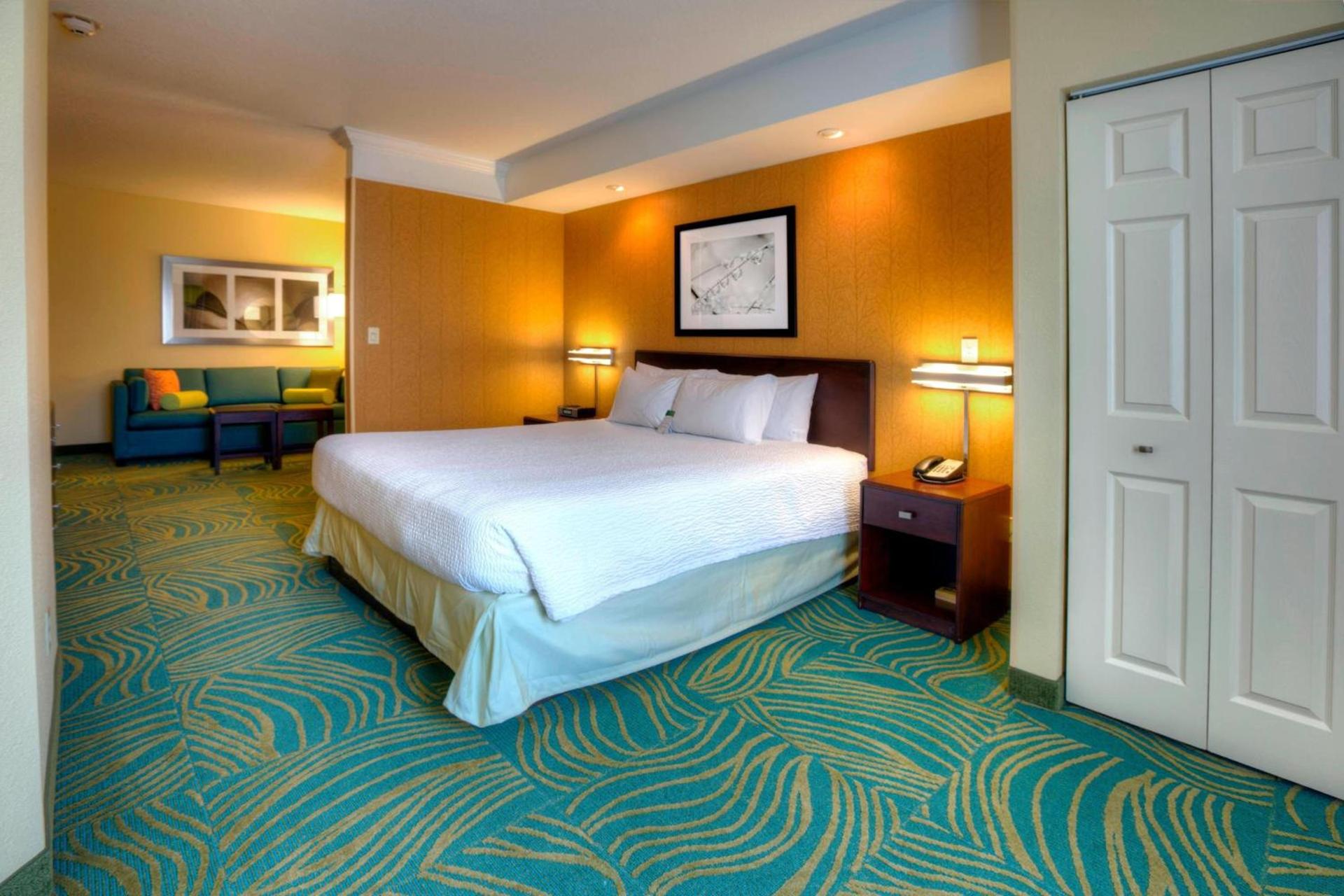 SpringHill Suites by Marriott - Tampa Brandon photo 7