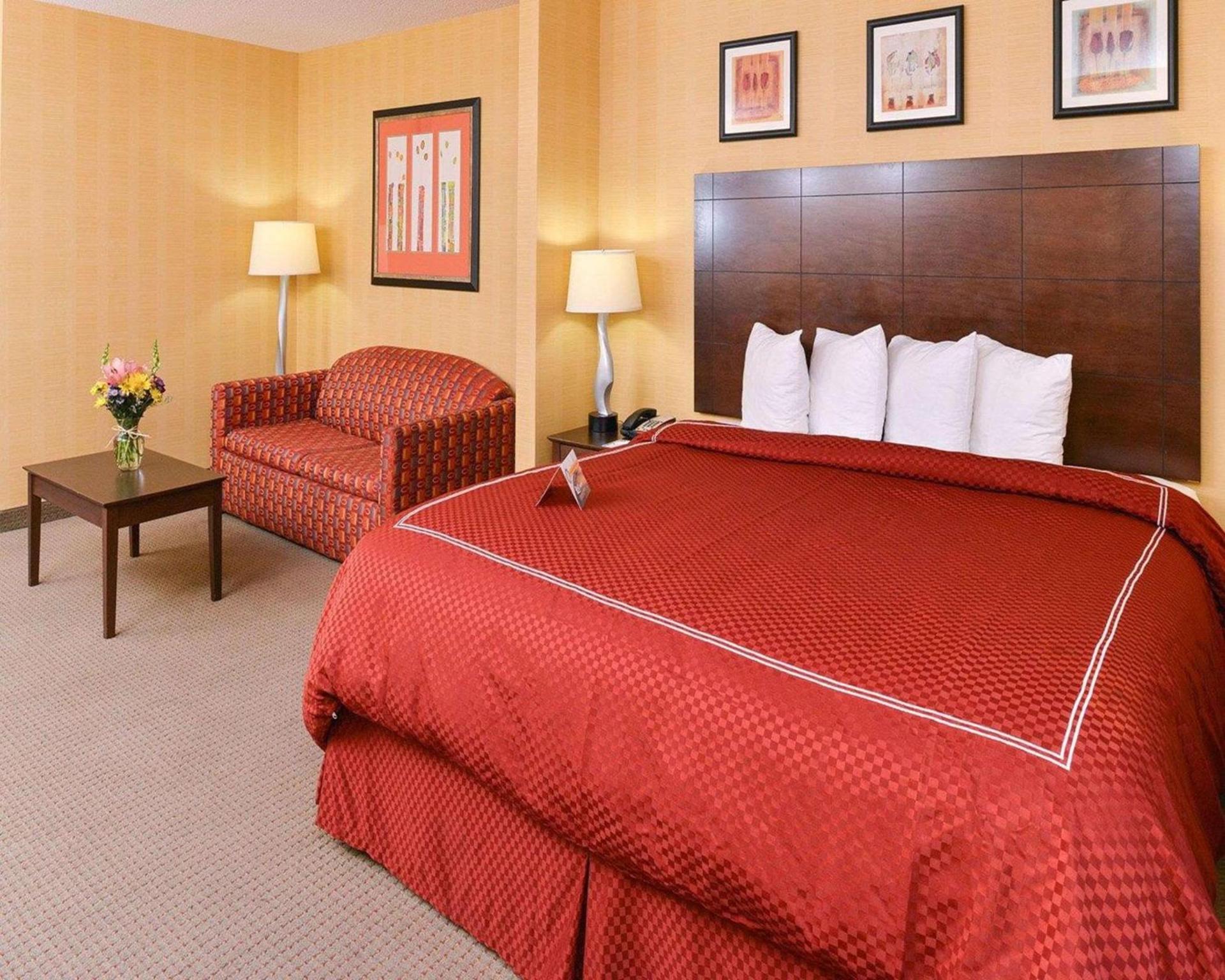 Quality Suites Stratford photo 8