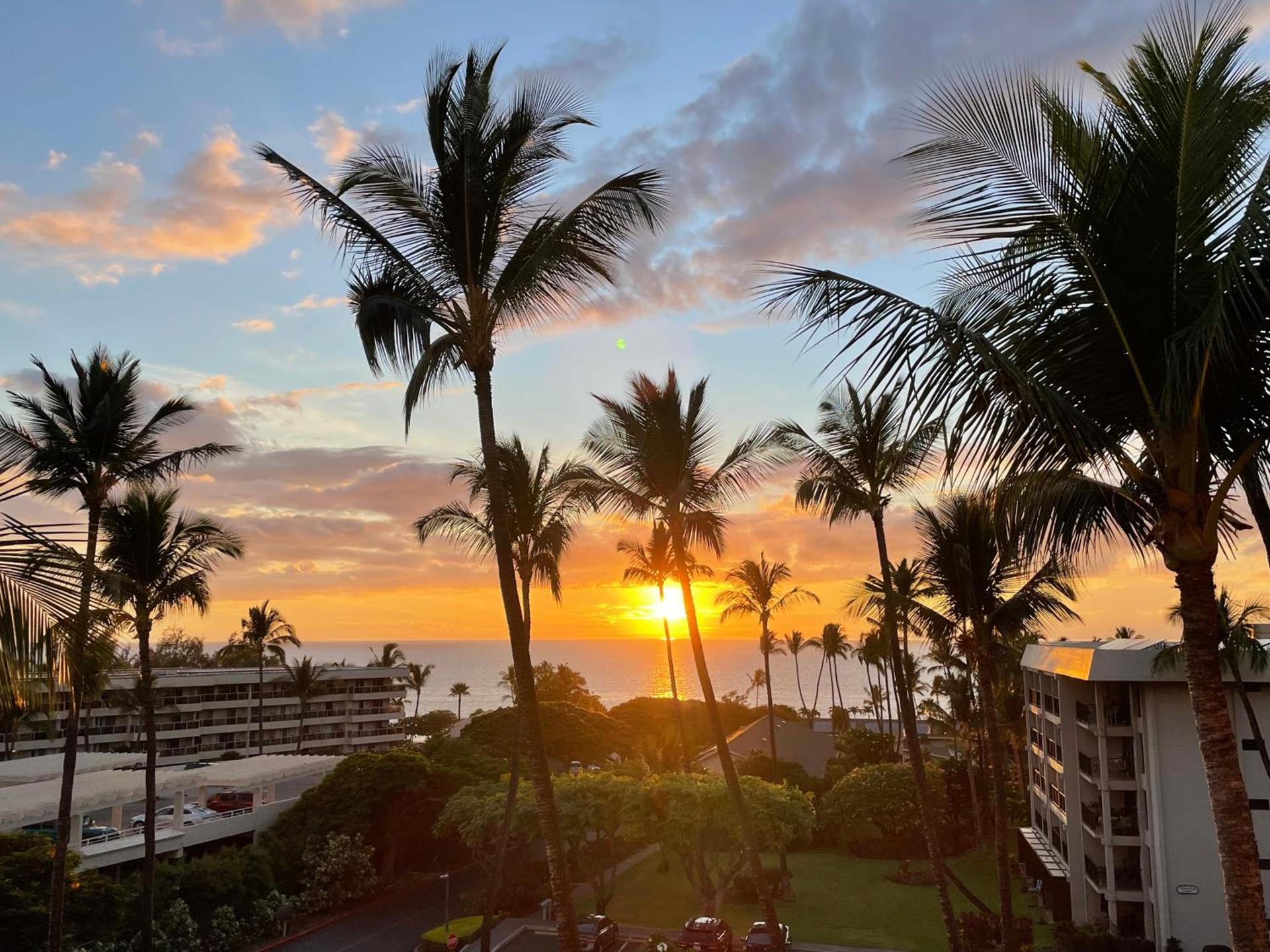 DELUXE PANORAMIC OCEAN VIEW - Dual AC - RENOVATED - FULLY EQUIPPED - SELF MGMT FREE PARKING photo 3