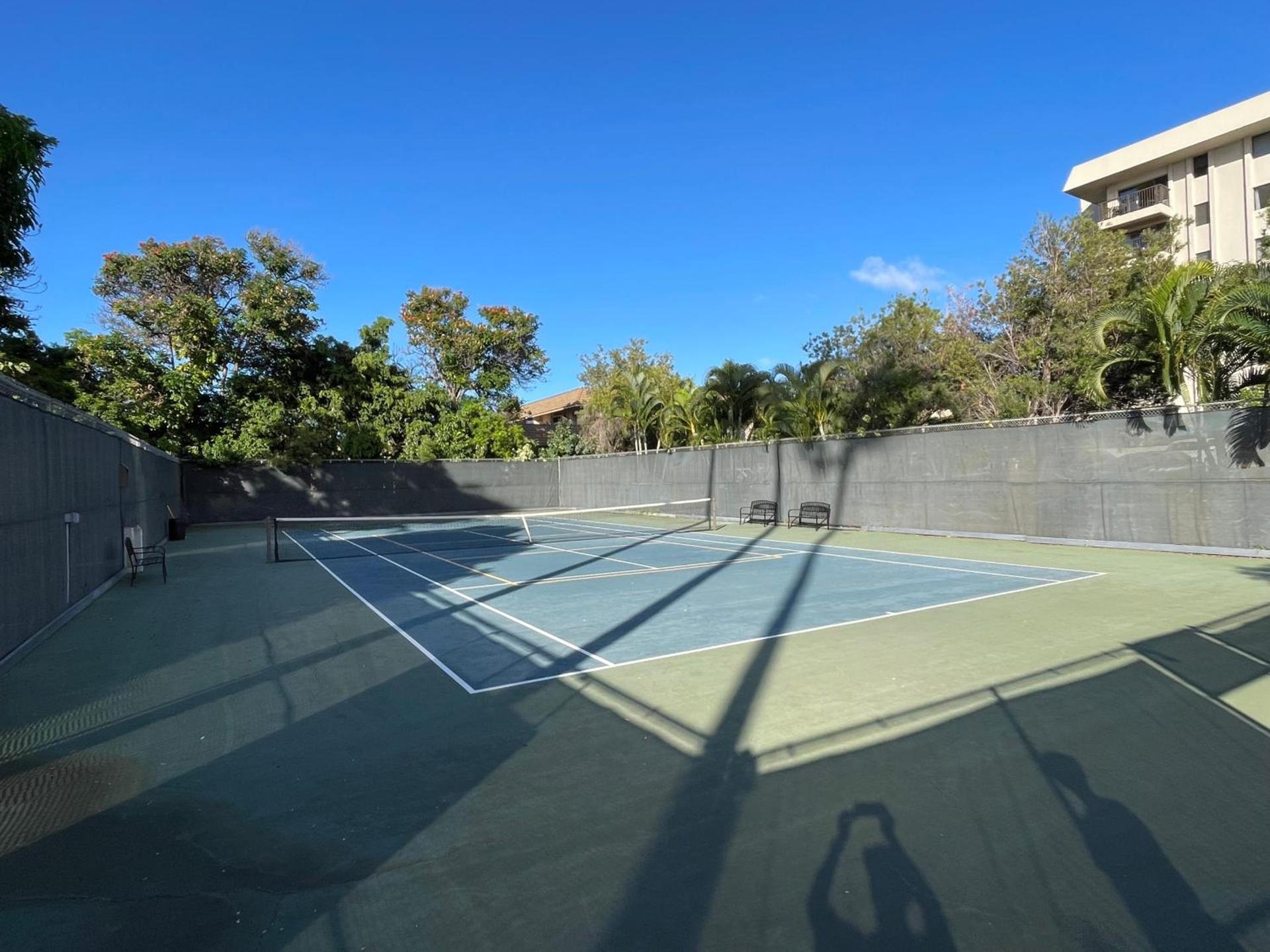 DELUXE PANORAMIC OCEAN VIEW - Dual AC - RENOVATED - FULLY EQUIPPED - SELF MGMT FREE PARKING photo 14