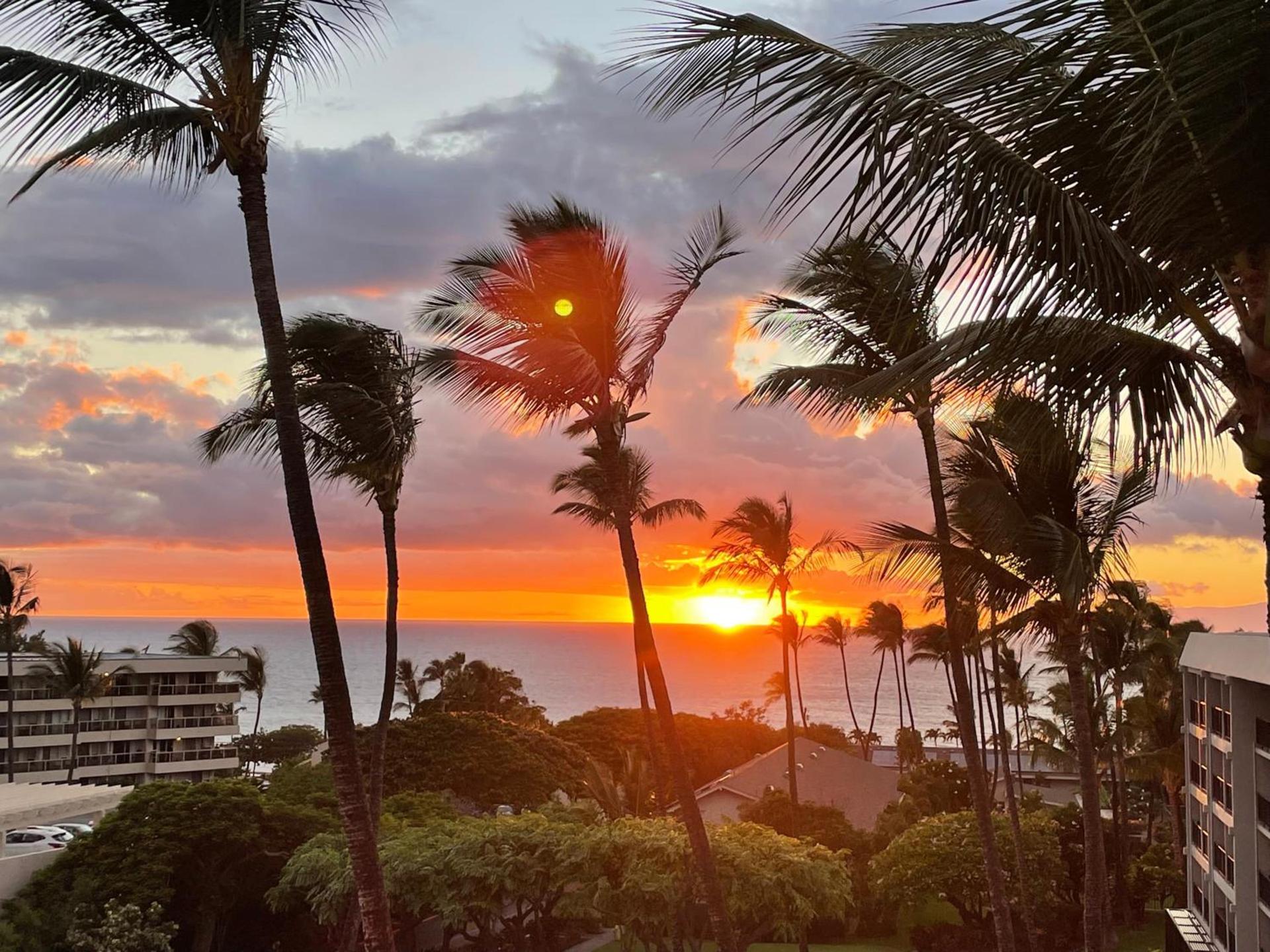 DELUXE PANORAMIC OCEAN VIEW - Dual AC - RENOVATED - FULLY EQUIPPED - SELF MGMT FREE PARKING photo 20