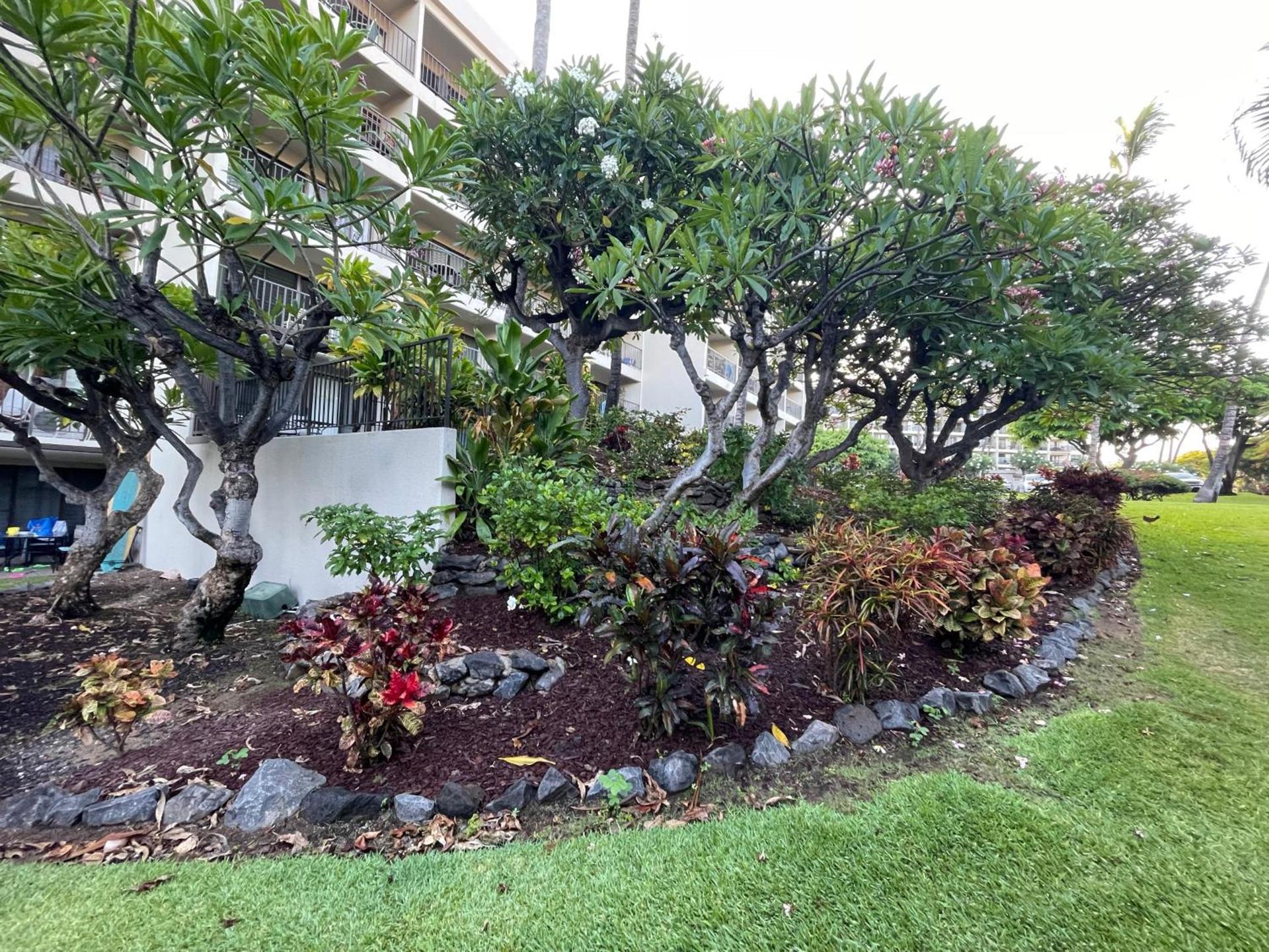 DELUXE PANORAMIC OCEAN VIEW - Dual AC - RENOVATED - FULLY EQUIPPED - SELF MGMT FREE PARKING photo 23