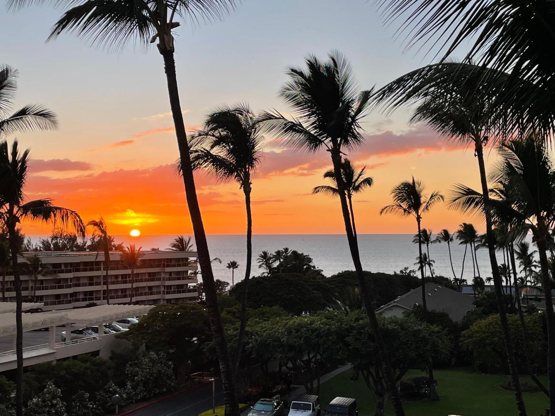 DELUXE PANORAMIC OCEAN VIEW - Dual AC - RENOVATED - FULLY EQUIPPED - SELF MGMT FREE PARKING photo 26