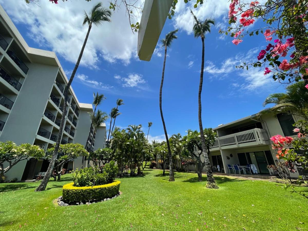 DELUXE PANORAMIC OCEAN VIEW - Dual AC - RENOVATED - FULLY EQUIPPED - SELF MGMT FREE PARKING photo 50