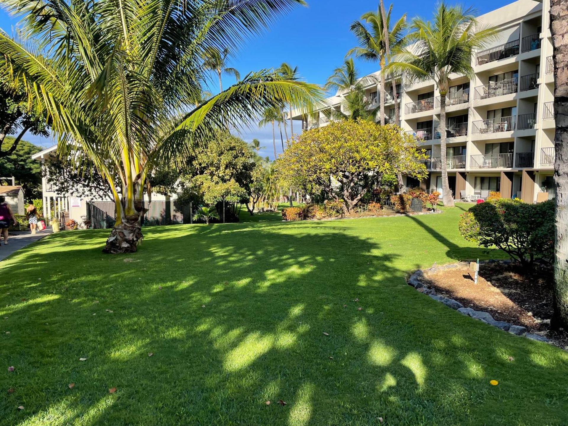 DELUXE PANORAMIC OCEAN VIEW - Dual AC - RENOVATED - FULLY EQUIPPED - SELF MGMT FREE PARKING photo 53