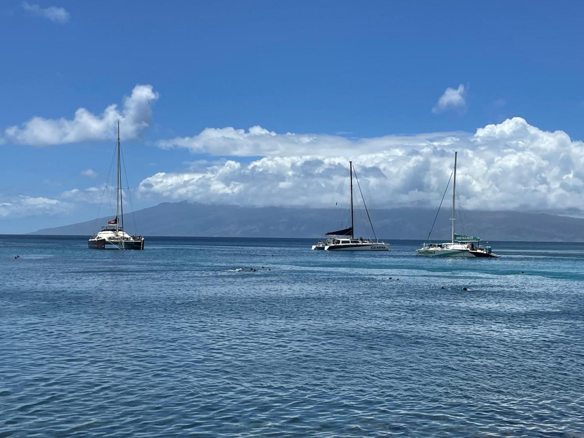 DELUXE PANORAMIC OCEAN VIEW - Dual AC - RENOVATED - FULLY EQUIPPED - SELF MGMT FREE PARKING photo 59