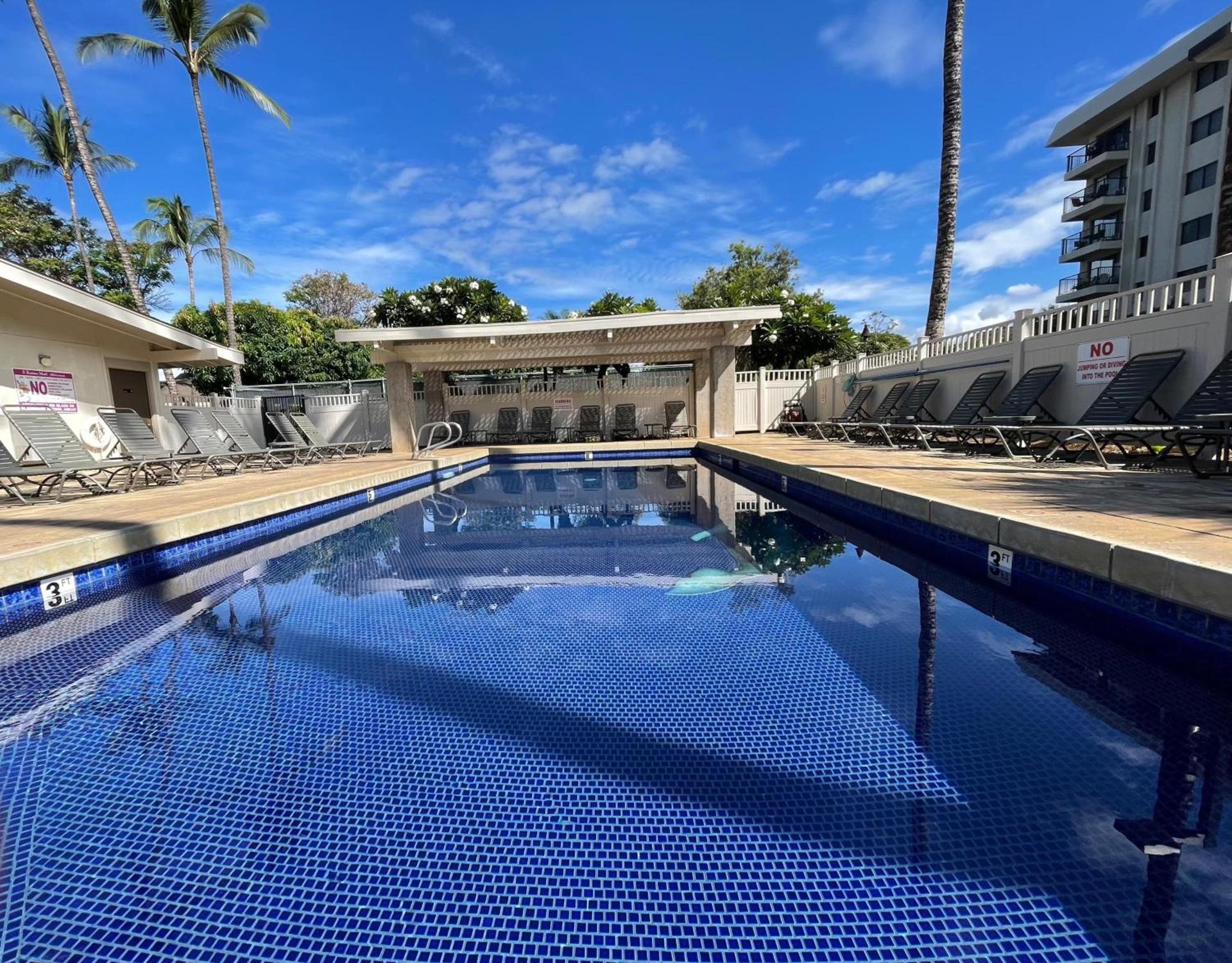 DELUXE PANORAMIC OCEAN VIEW - Dual AC - RENOVATED - FULLY EQUIPPED - SELF MGMT FREE PARKING photo 60