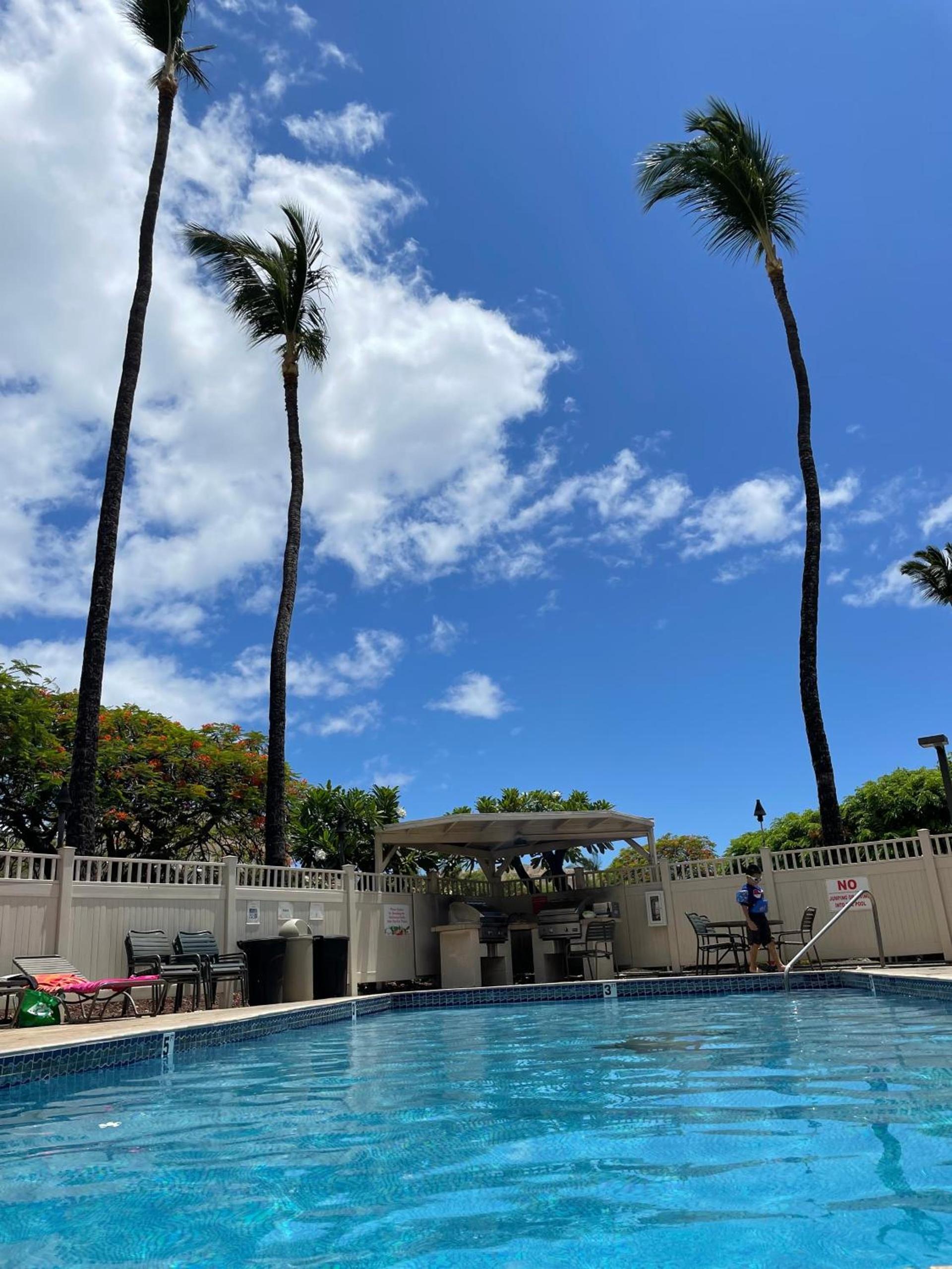 DELUXE PANORAMIC OCEAN VIEW - Dual AC - RENOVATED - FULLY EQUIPPED - SELF MGMT FREE PARKING photo 62