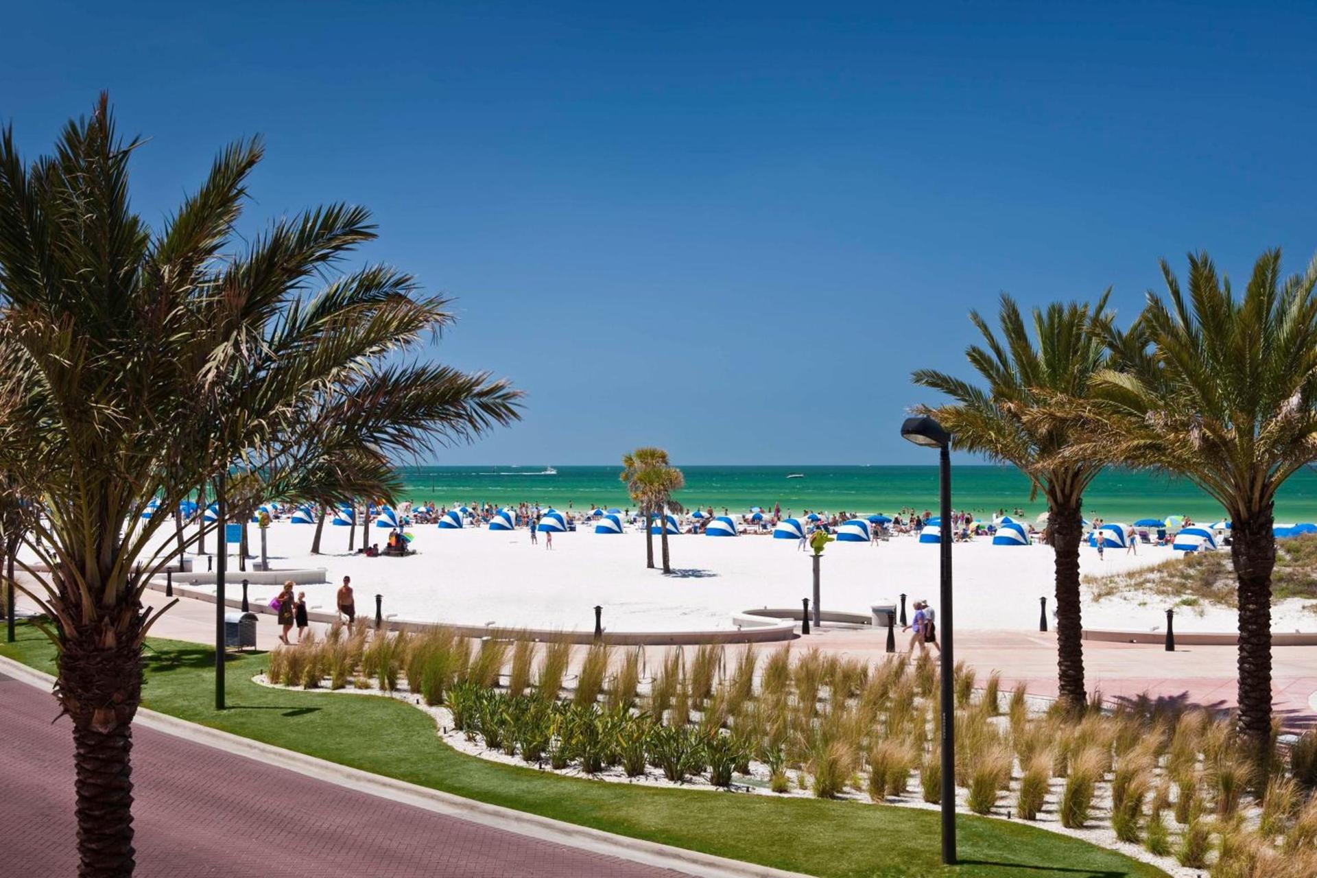 Hyatt Regency Clearwater Beach Resort and Suites photo 23