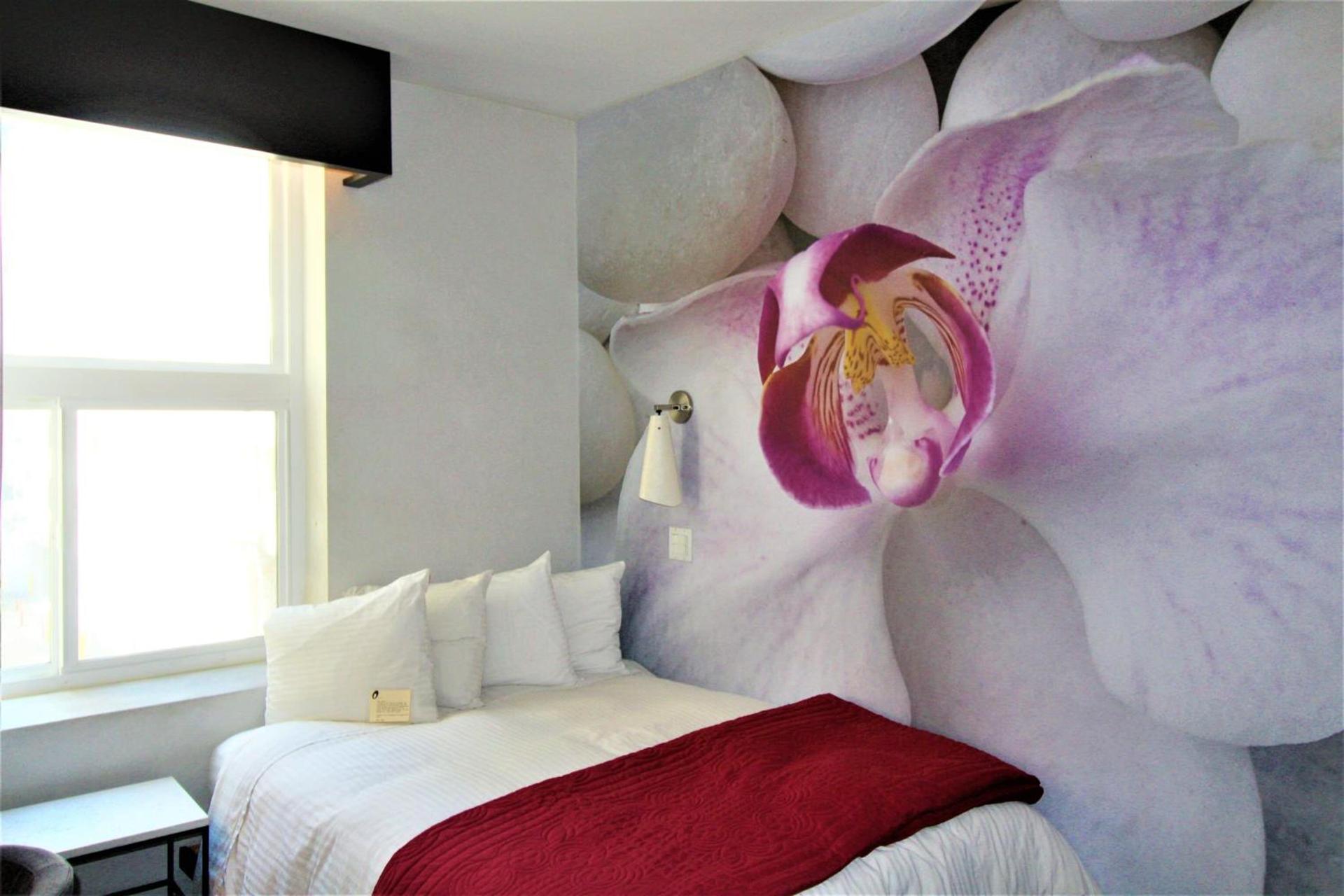 The O Hotel, Trademark Collection by Wyndham photo 44