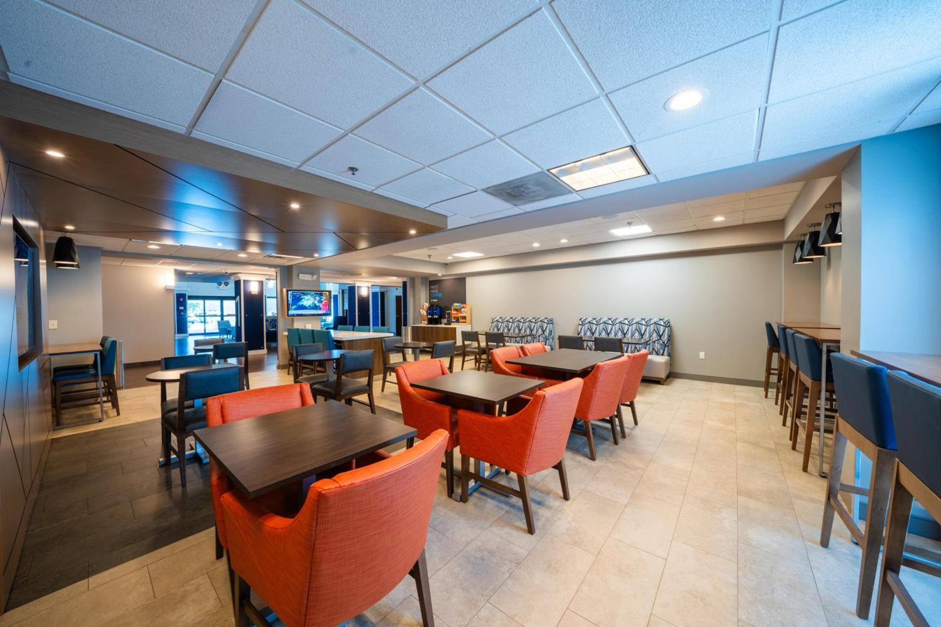 Holiday Inn Express Hotel & Suites Tampa-Oldsmar by IHG photo 63