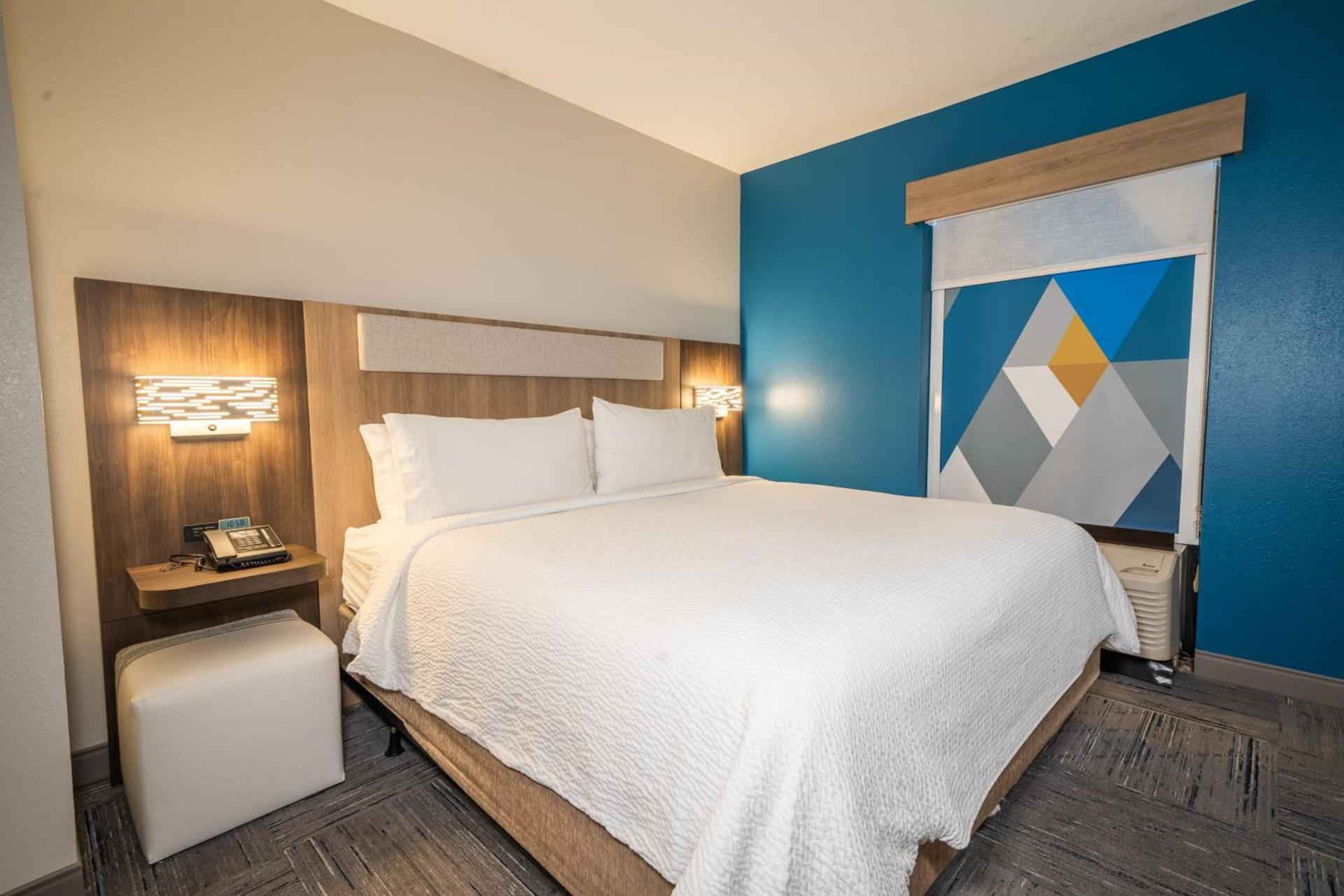Holiday Inn Express Hotel & Suites Tampa-Oldsmar by IHG photo 73